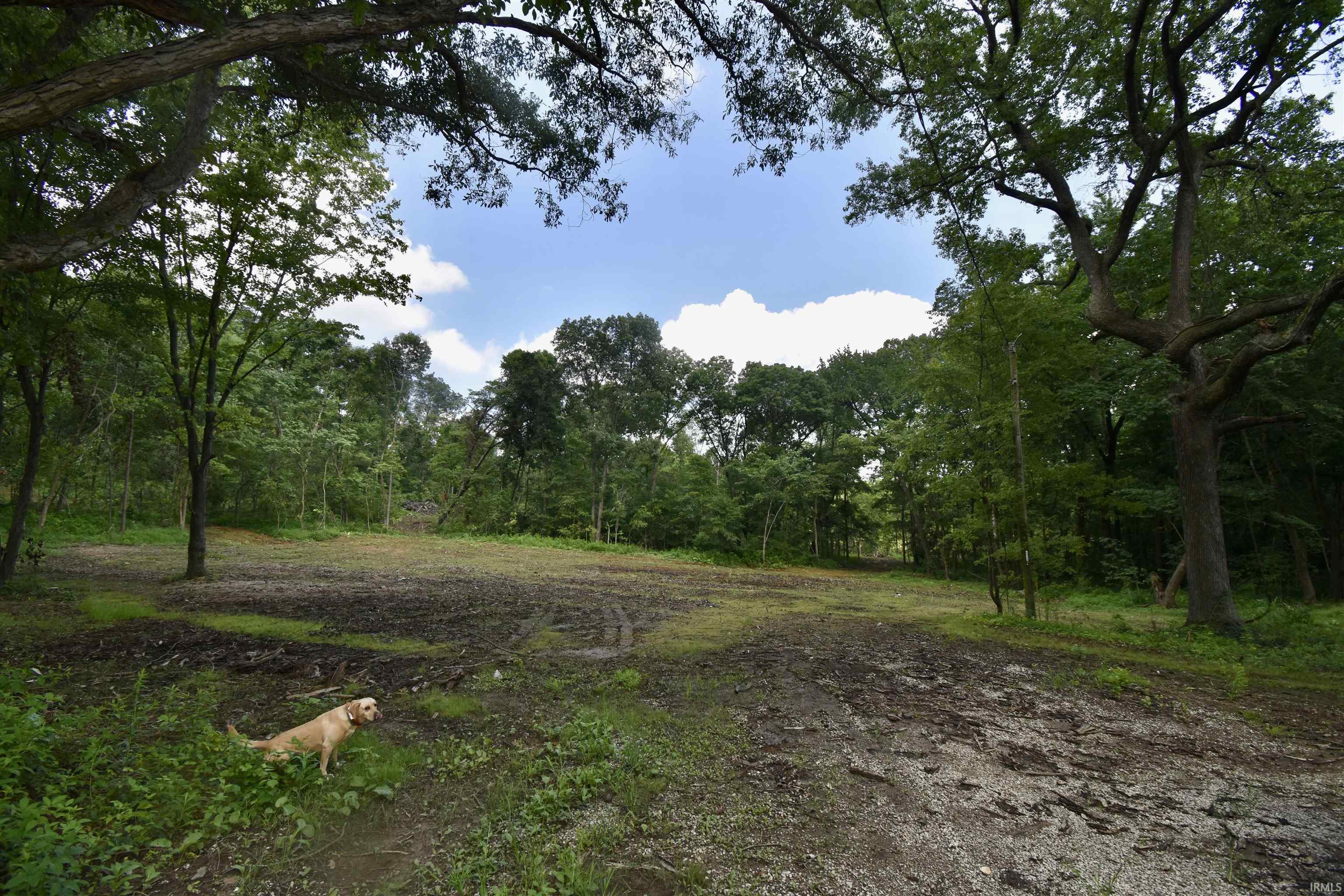 3rd image of 6066 Sr 161 Hwy, Richland, IN 47634 | MLS# 202629089