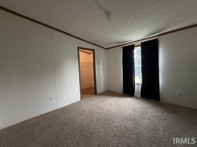 Carpeted room featuring a window, painted walls, and an open closet