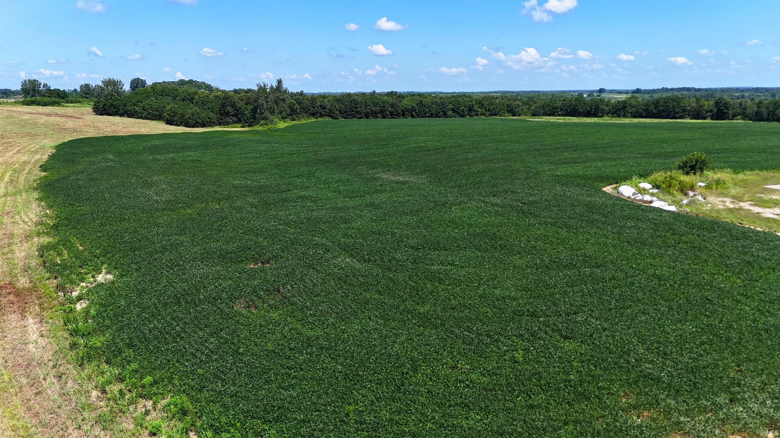 3rd image of 2686+/- Acres S Wampler Rd, Bicknell, IN 47512 | MLS# 202629292
