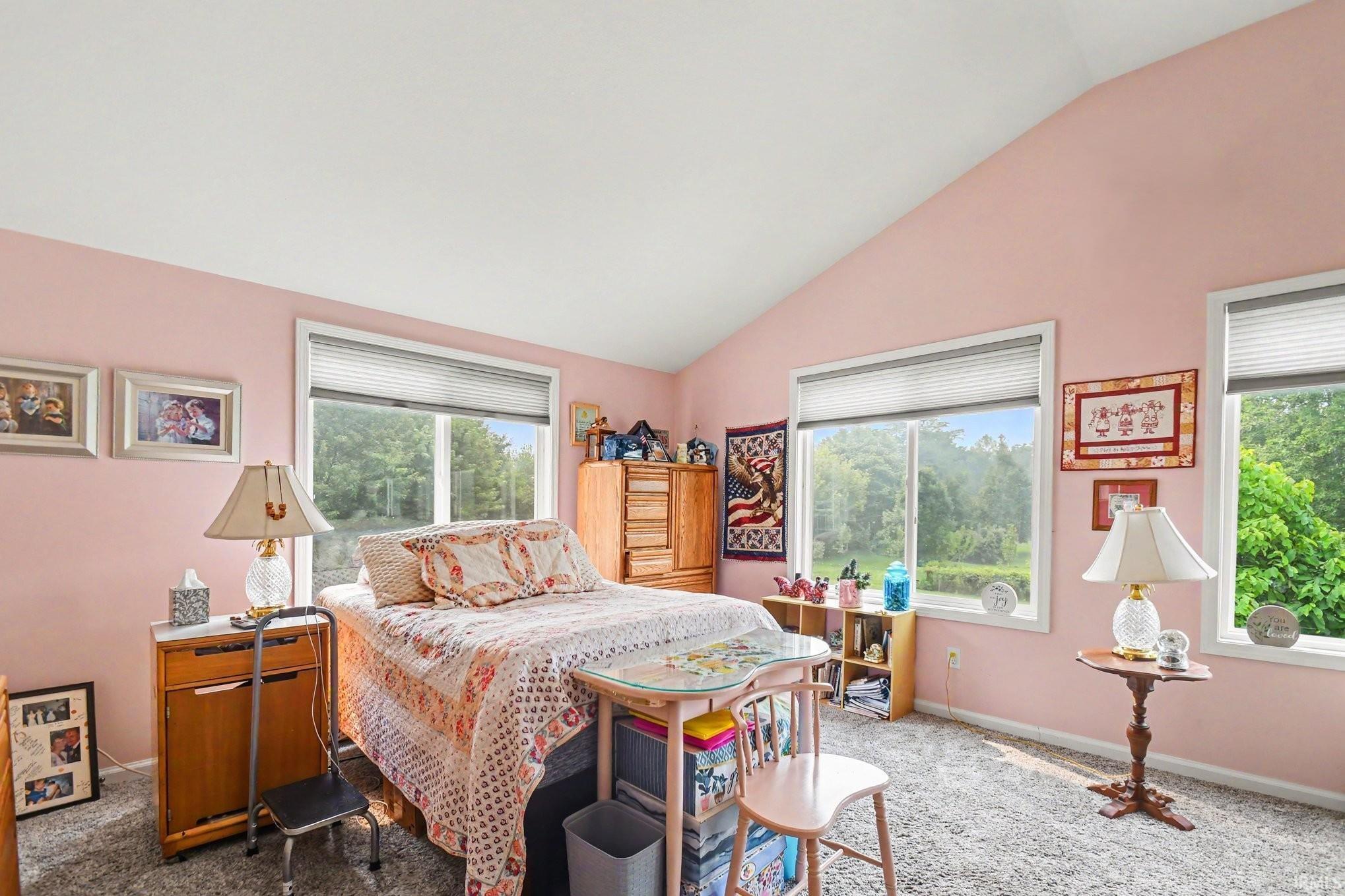 Carpeted room featuring a vaulted ceiling and multiple windows