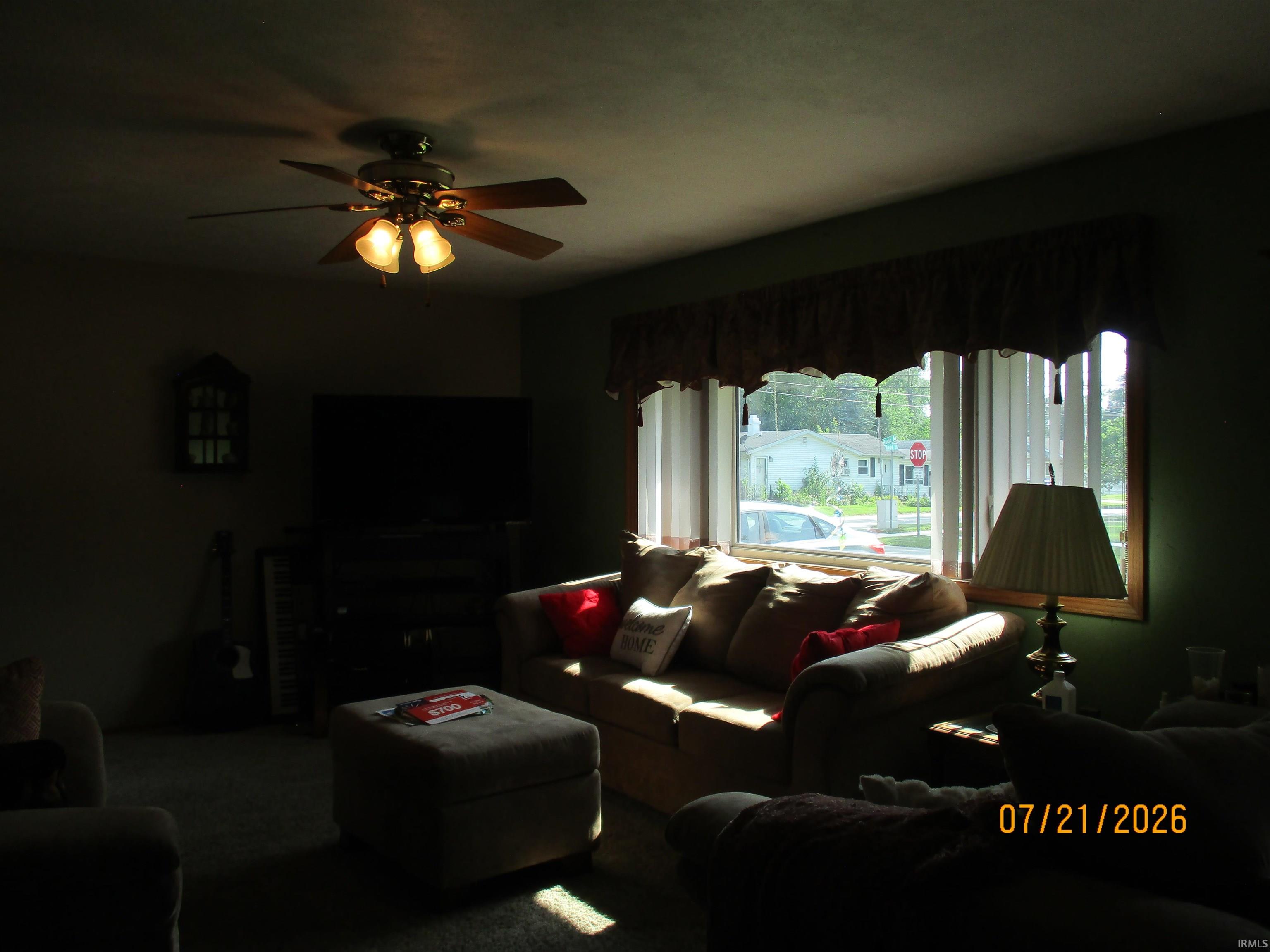 Image quality insufficient for description