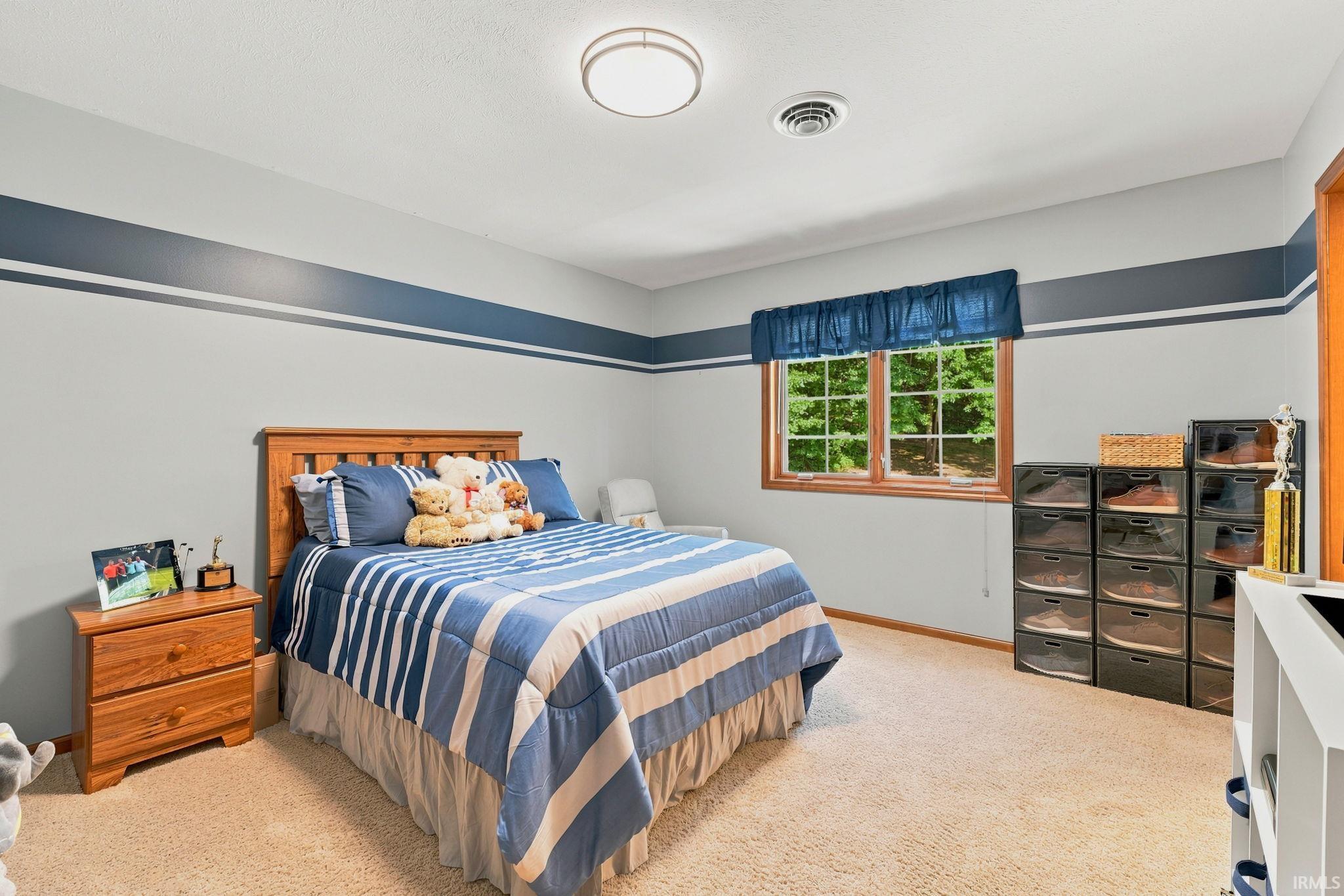 Carpeted room featuring a double-paned window with wood trim, painted walls with a decorative stripe, and a ceiling-mounted light fixture