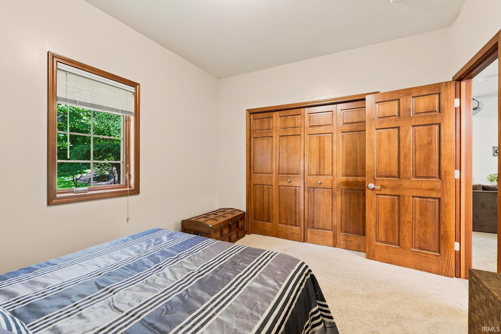 Window with wood-finish trim and blinds, offering a green exterior backdrop