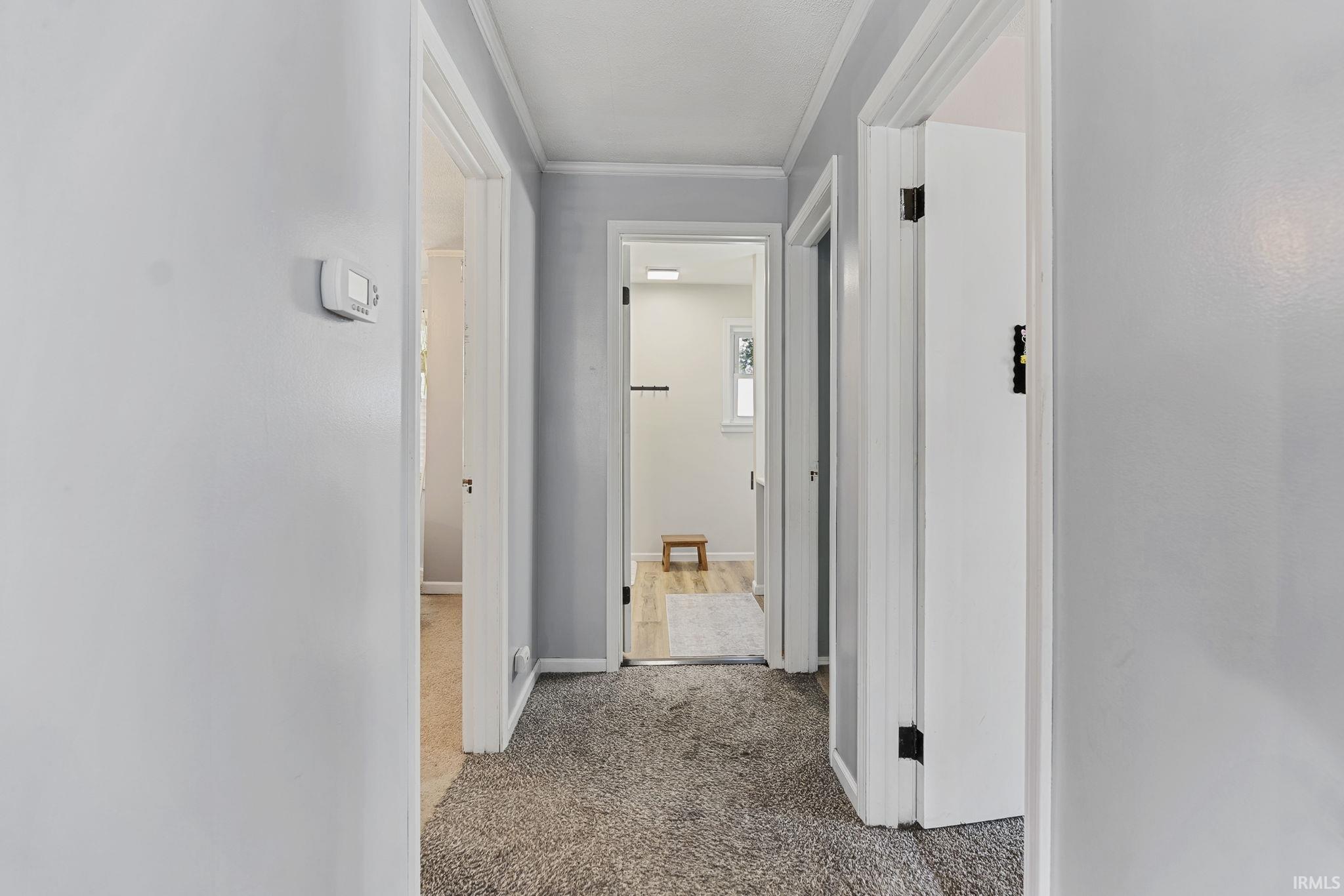 Hallway with gray wall paint, white trim, and gray carpet flooring