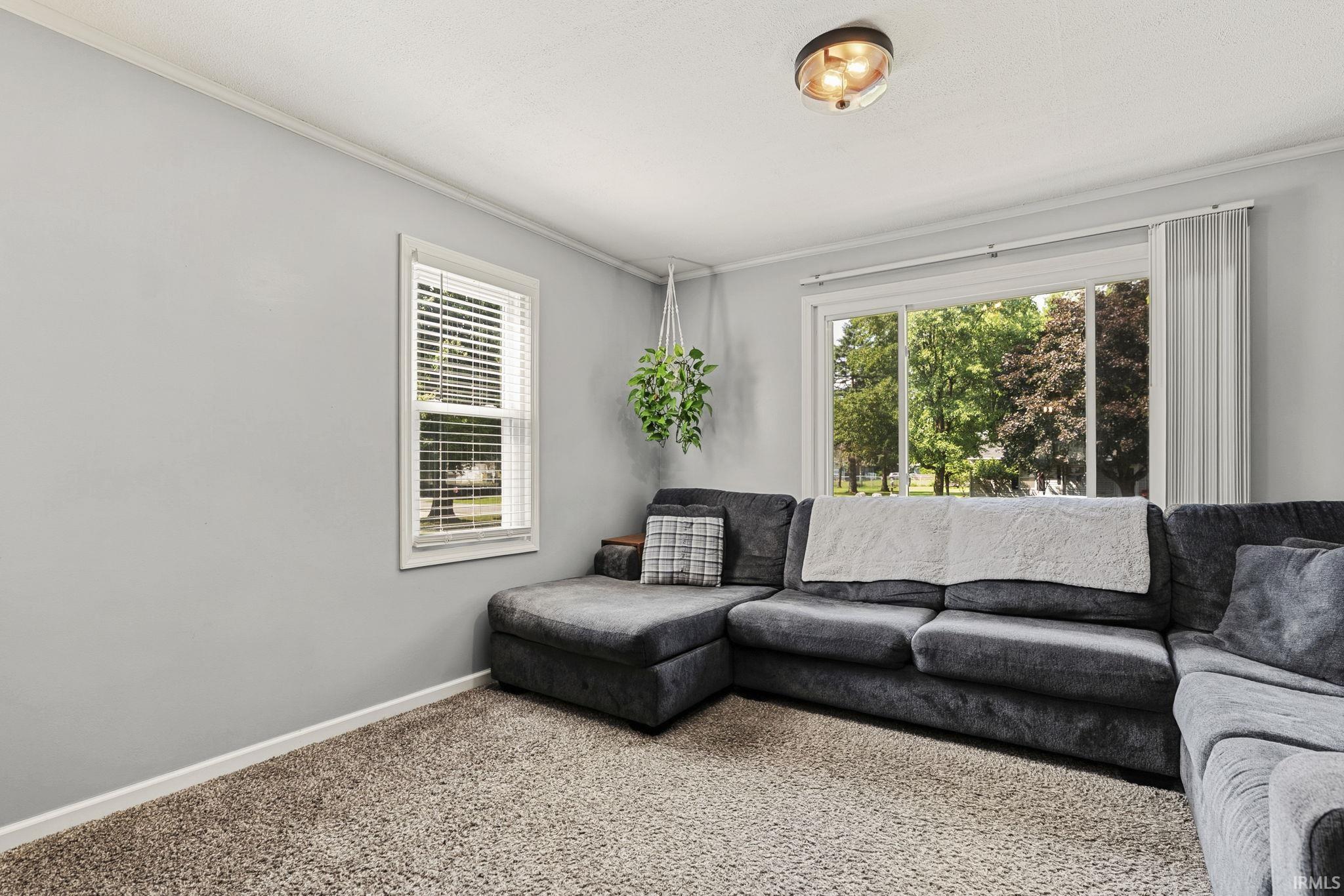 Bright room featuring light gray wall paint, white trim, and neutral-toned carpeting
