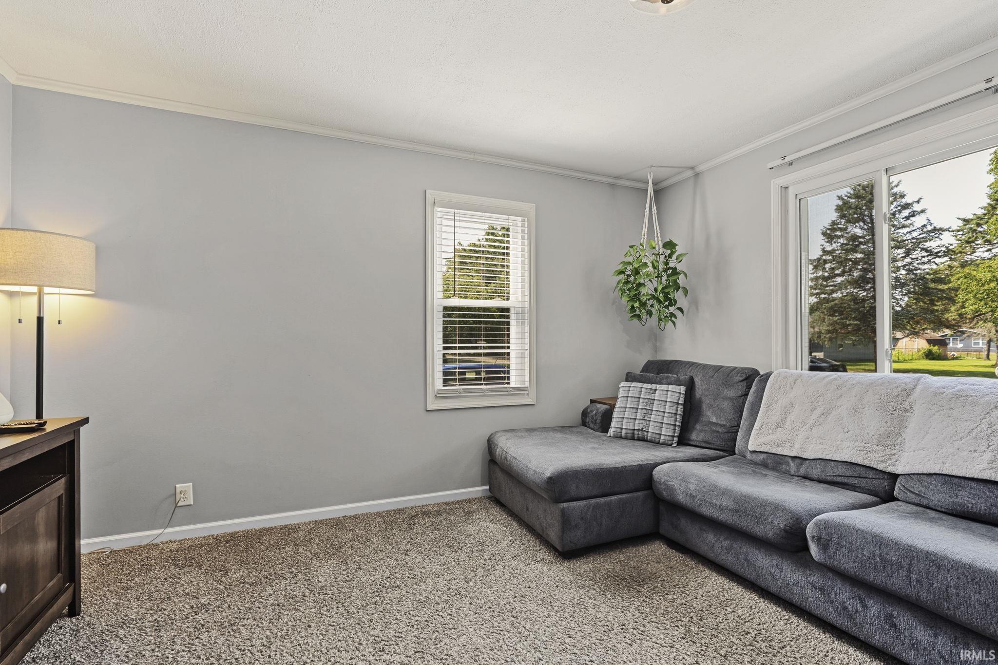 Spacious room featuring light gray walls, white trim, and neutral-toned carpeting