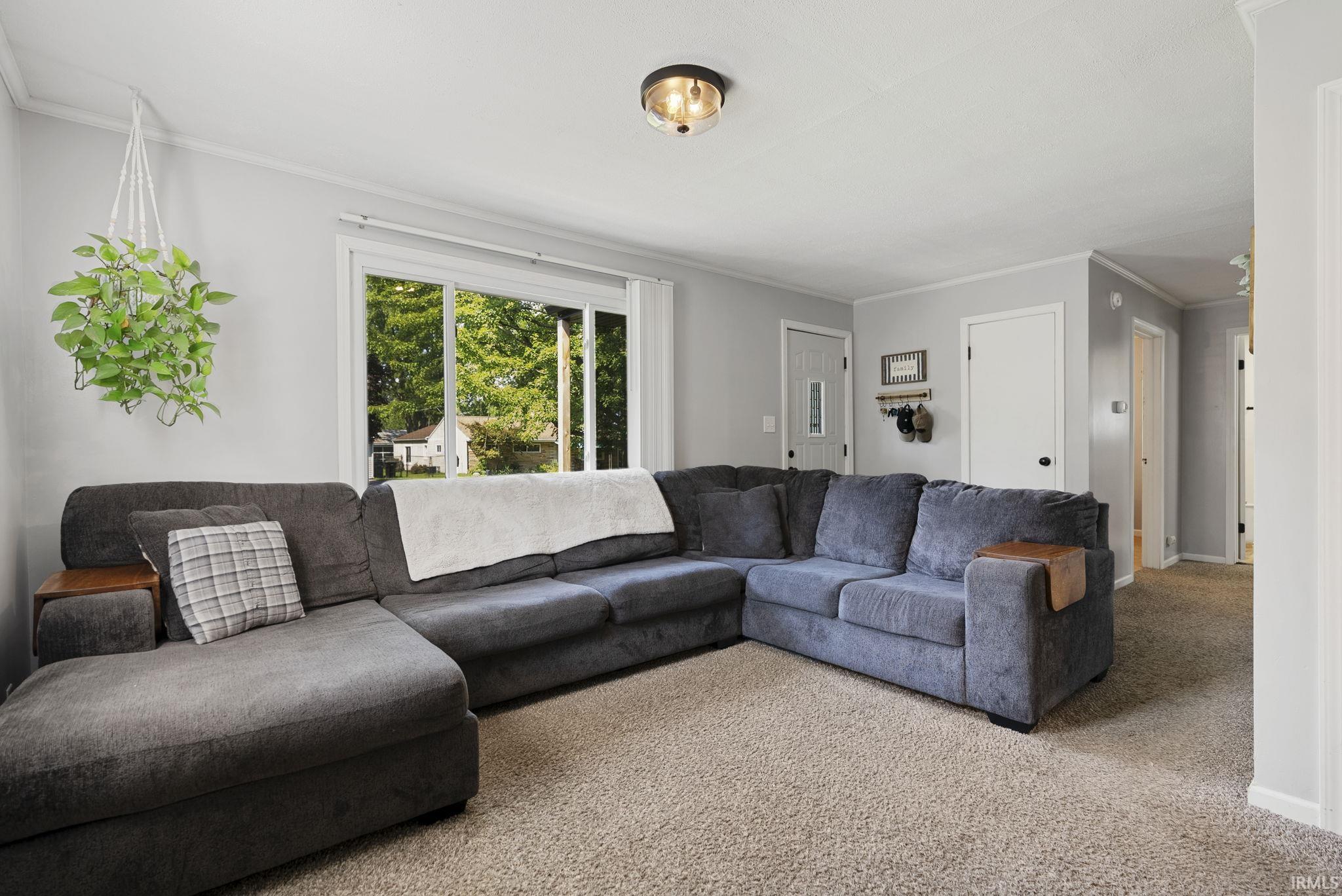 Living area featuring neutral-toned carpet flooring, light gray wall paint, and white trim