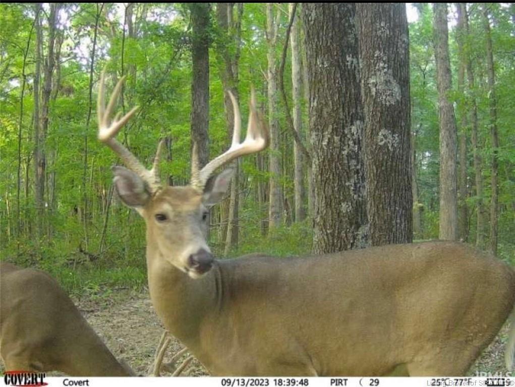 3rd image of Lot 1 Deer Creek Rd, Cannelton, IN 47520 | MLS# 202629888