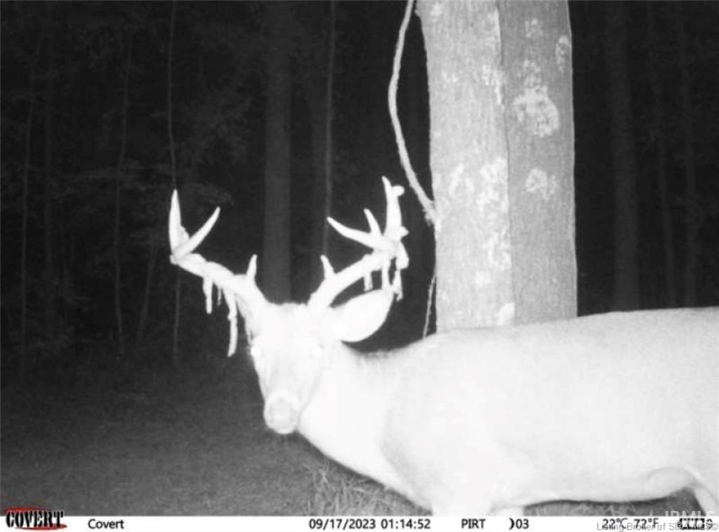 2nd image of Lot 3 Deer Creek Rd, Cannelton, IN 47520 | MLS# 202629891