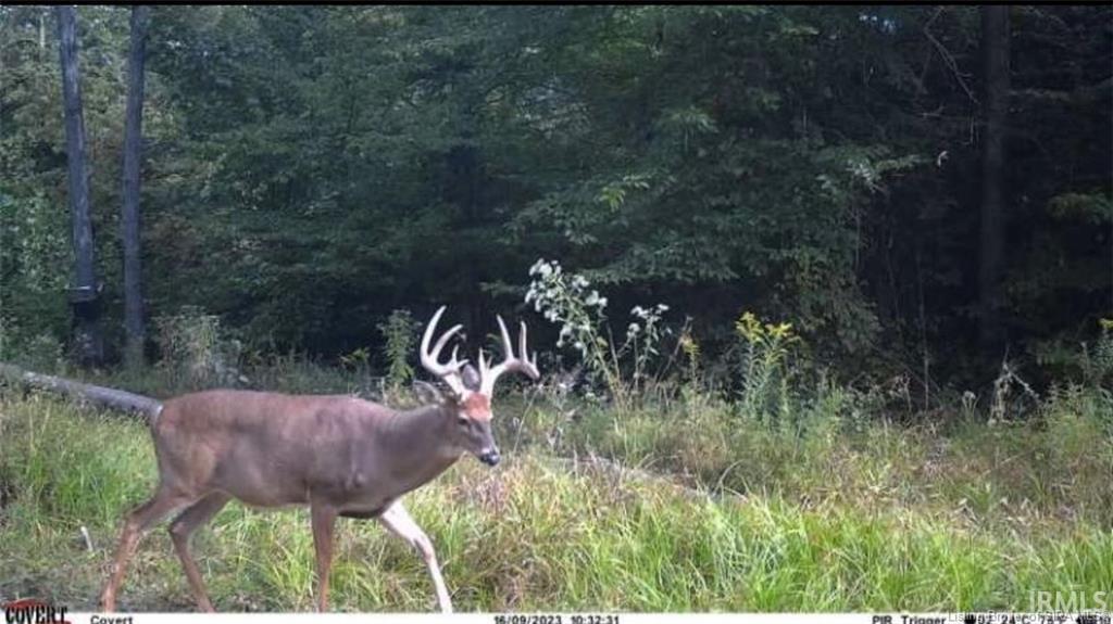 3rd image of Lot 3 Deer Creek Rd, Cannelton, IN 47520 | MLS# 202629891