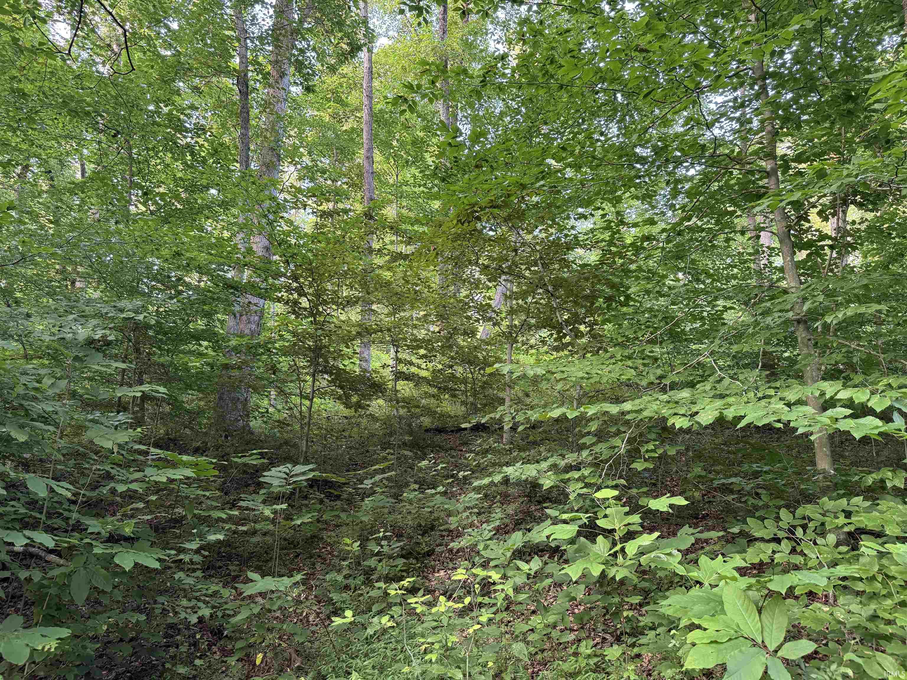 33rd image of Off Atlanta Rd, Tell City, IN 47586 | MLS# 202630000