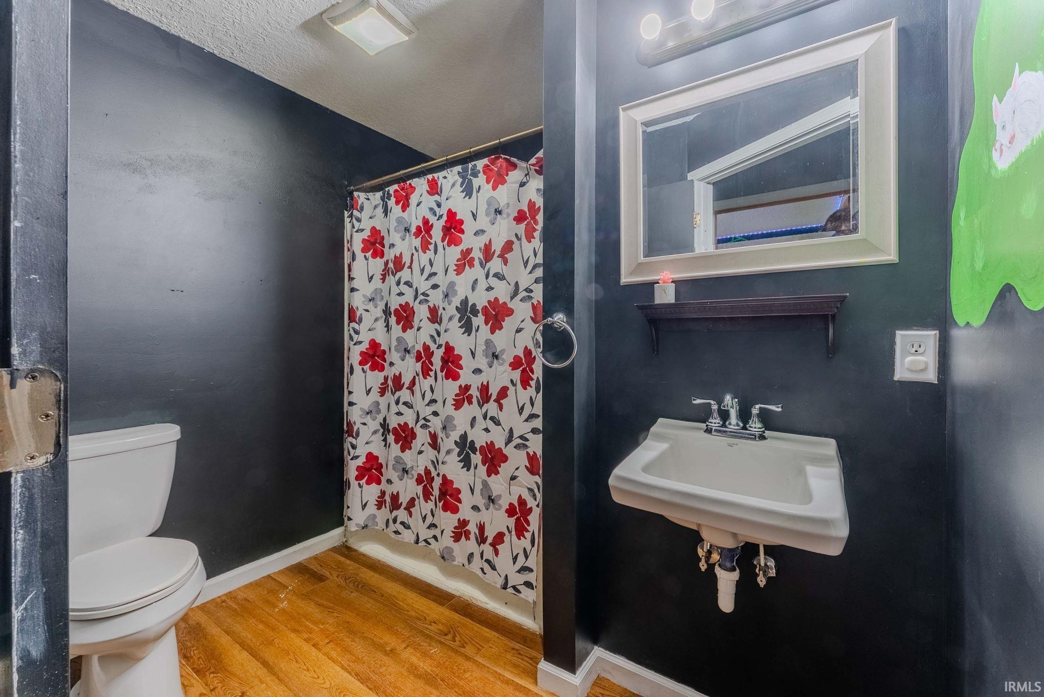 Bathroom featuring wood-finish flooring and dark-painted walls