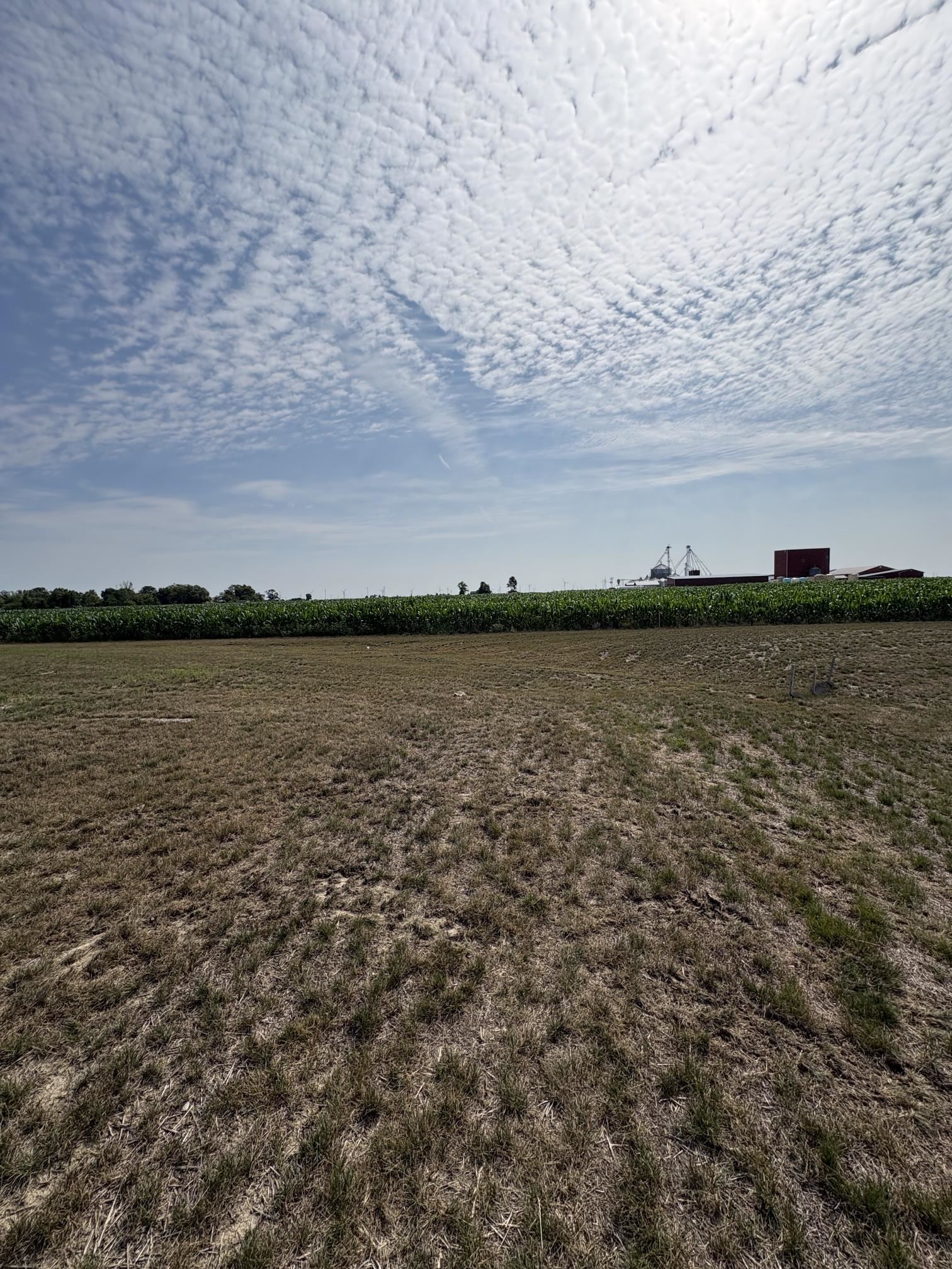 Your view out back is of CORN field!!!