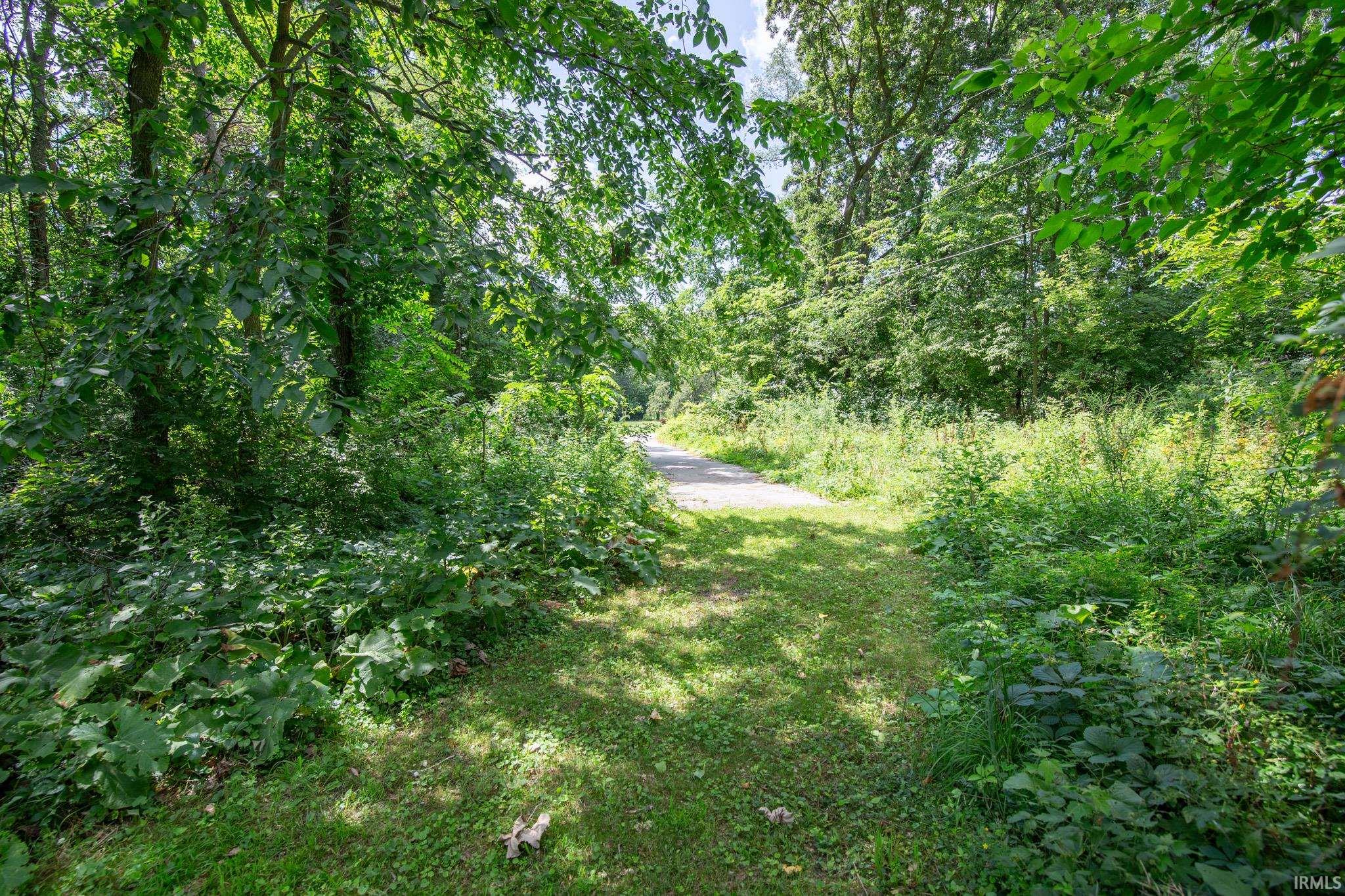 Expansive natural landscape featuring lush green foliage and mature trees