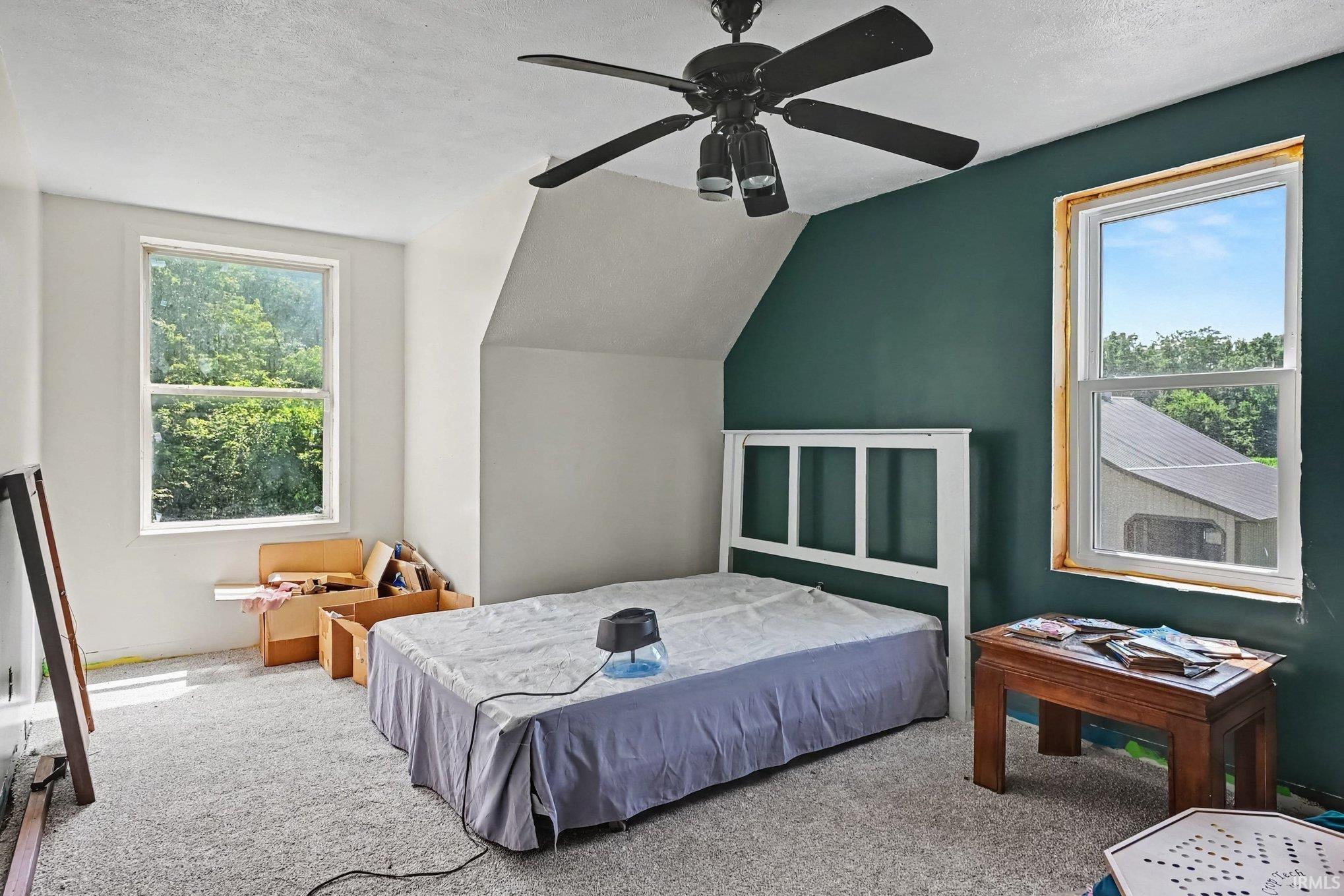 Carpeted room with a ceiling fan featuring a dark teal accent wall and two single-hung windows