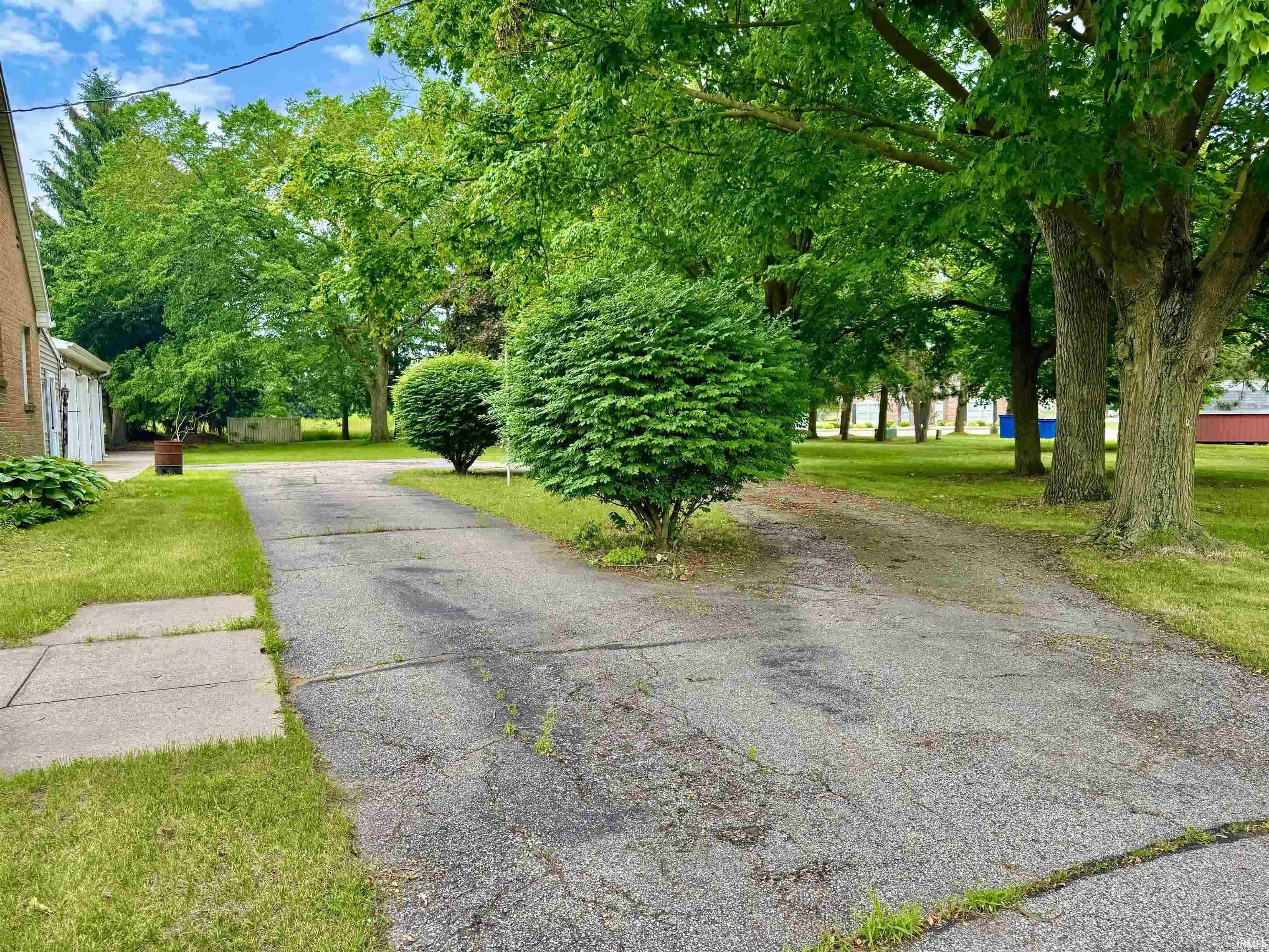 Asphalt driveway with a split-path design, surrounded by mature trees and manicured shrubs