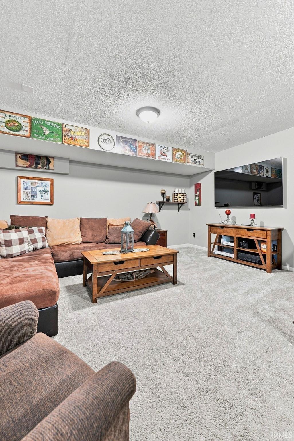 Spacious room featuring light gray carpeting, neutral wall colors, and a ceiling-mounted light fixture