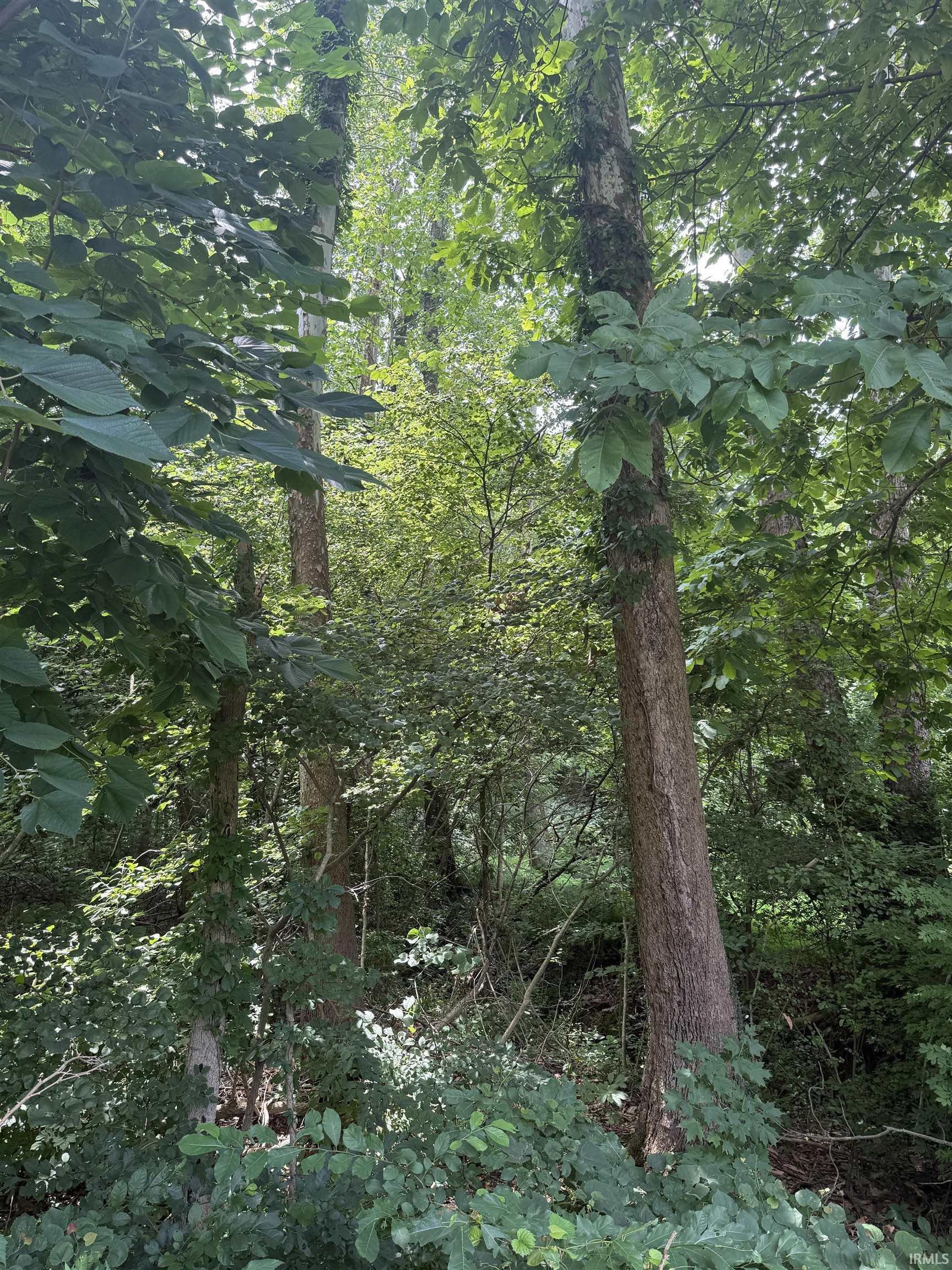 3rd image of 0000 Schlensker Rd, Evansville, IN 47725 | MLS# 202631052