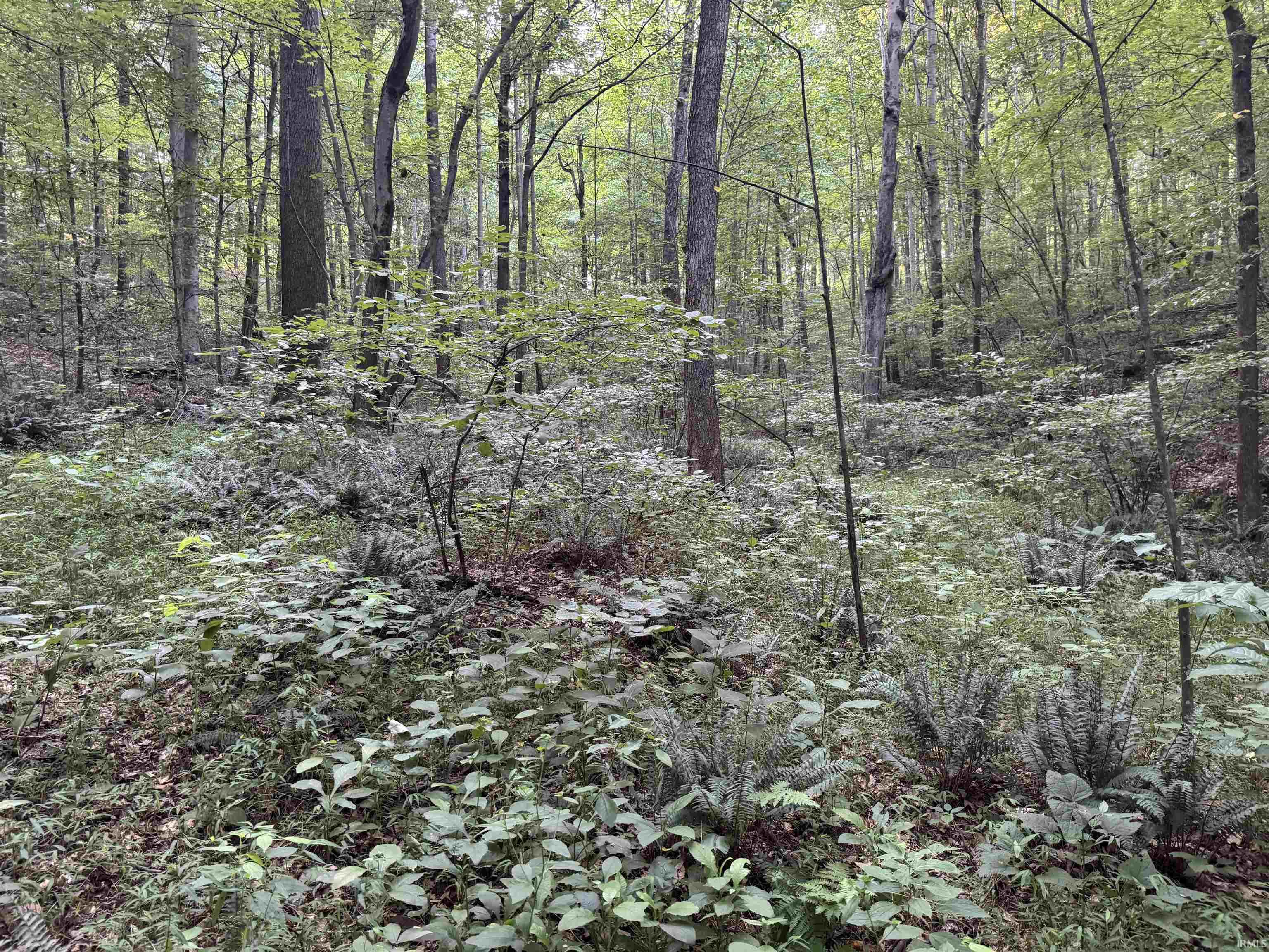 47th image of Brushy Fork Rd, Tell City, IN 47586 | MLS# 202631092