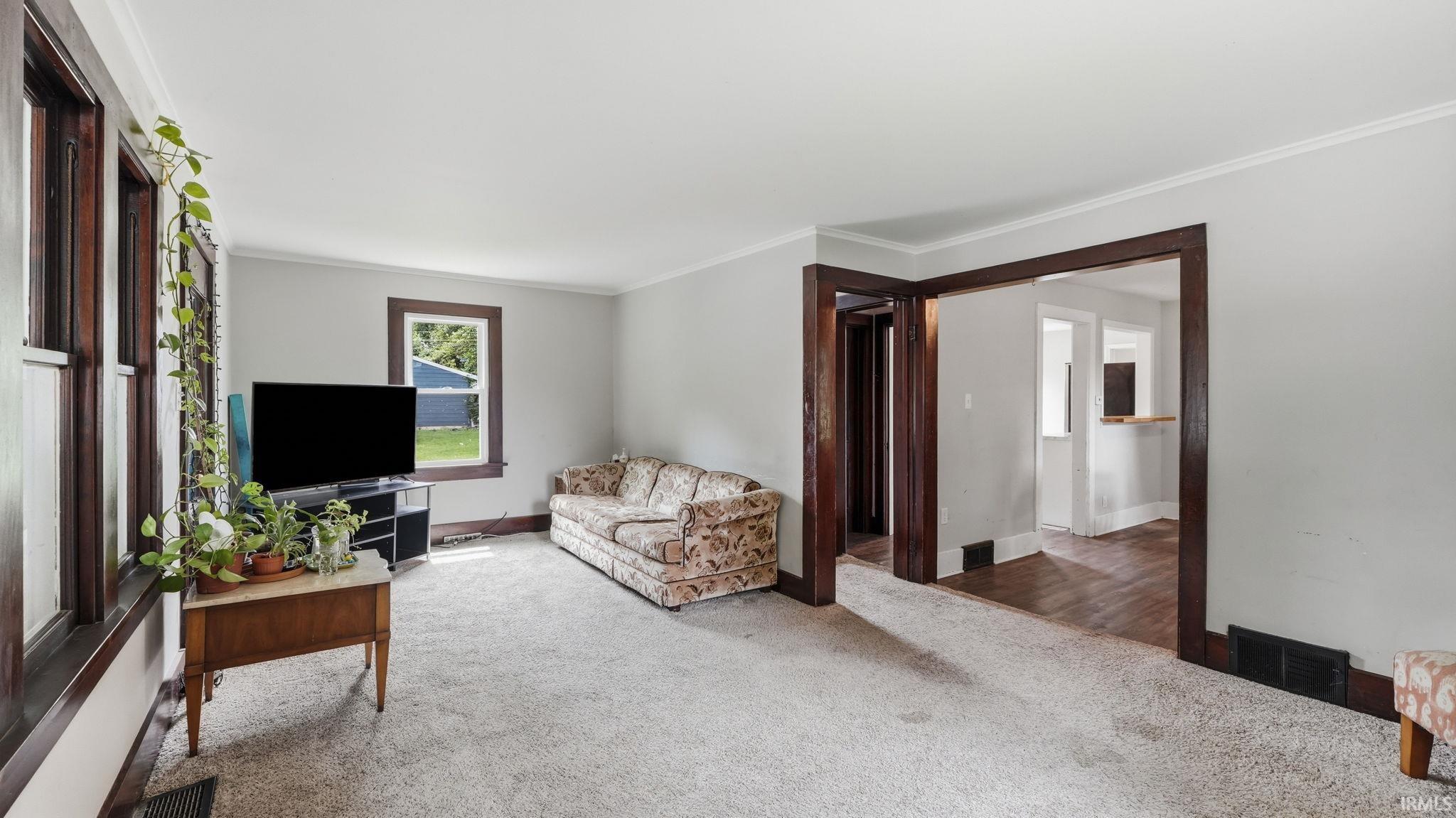 Living area featuring light gray walls, dark wood trim, wall-to-wall carpeting, and multiple windows