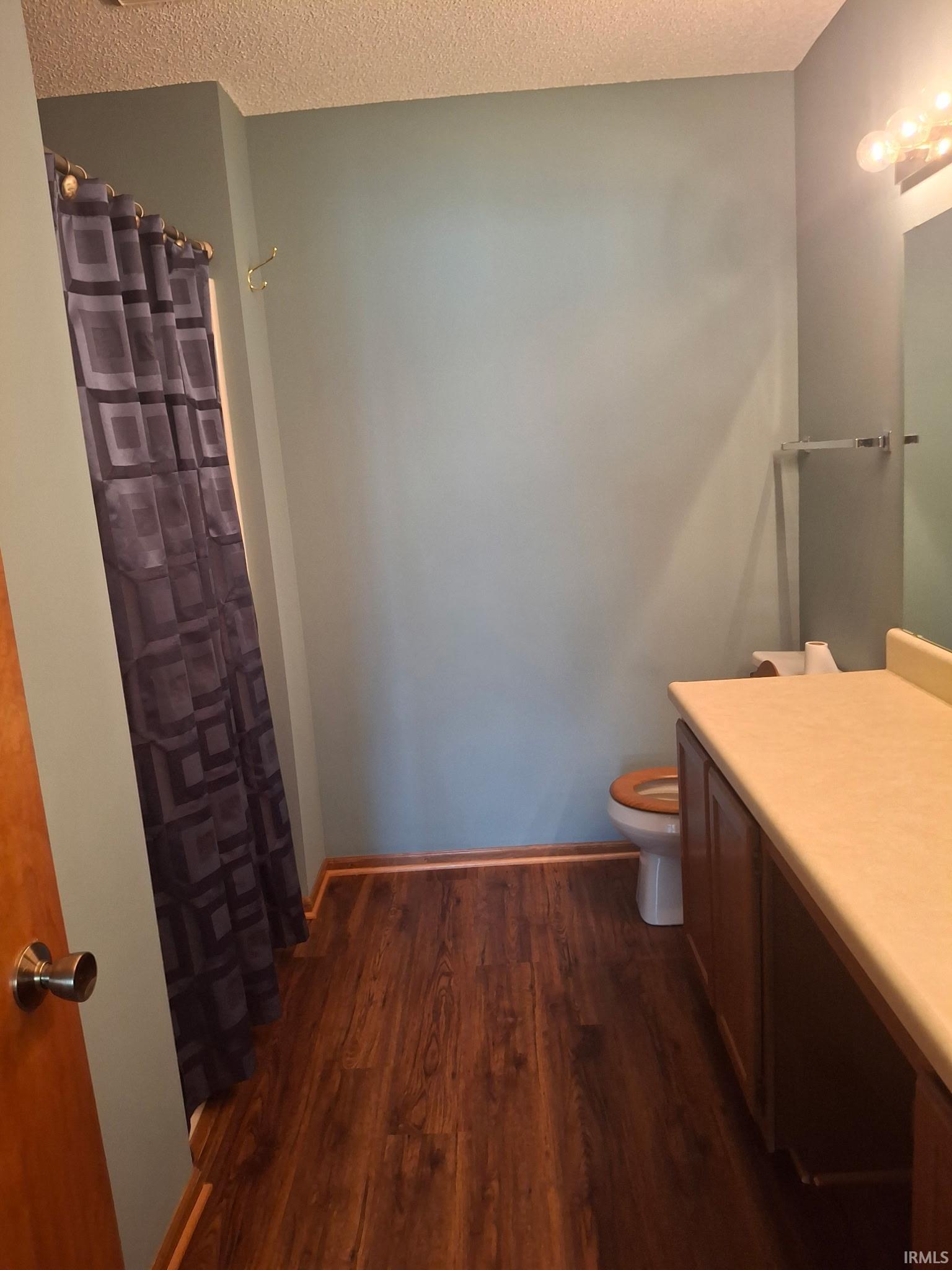 Bathroom featuring wood-finish flooring, a vanity with a light-toned countertop, and a wall-mounted light fixture