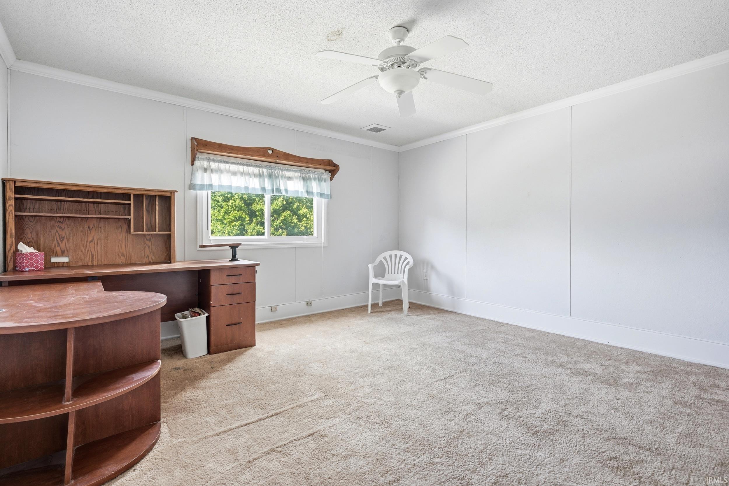 Carpeted room featuring a ceiling fan, crown molding, and a window with natural light