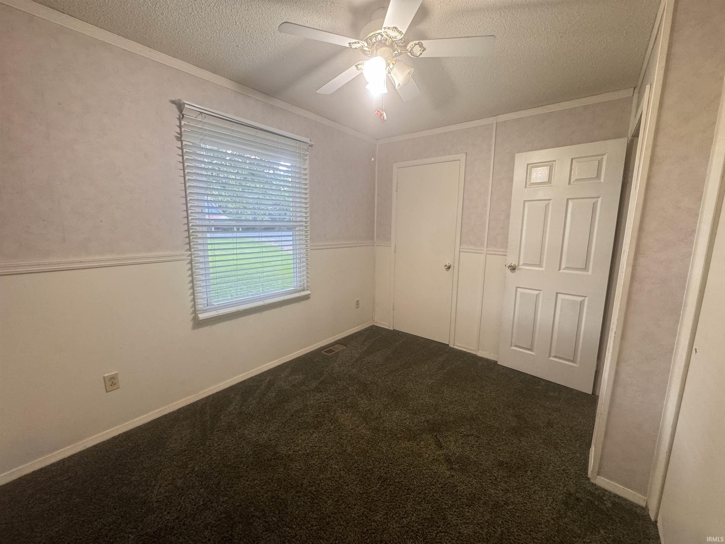 Carpeted room with a ceiling fan light fixture, a window with blinds, and two panel doors