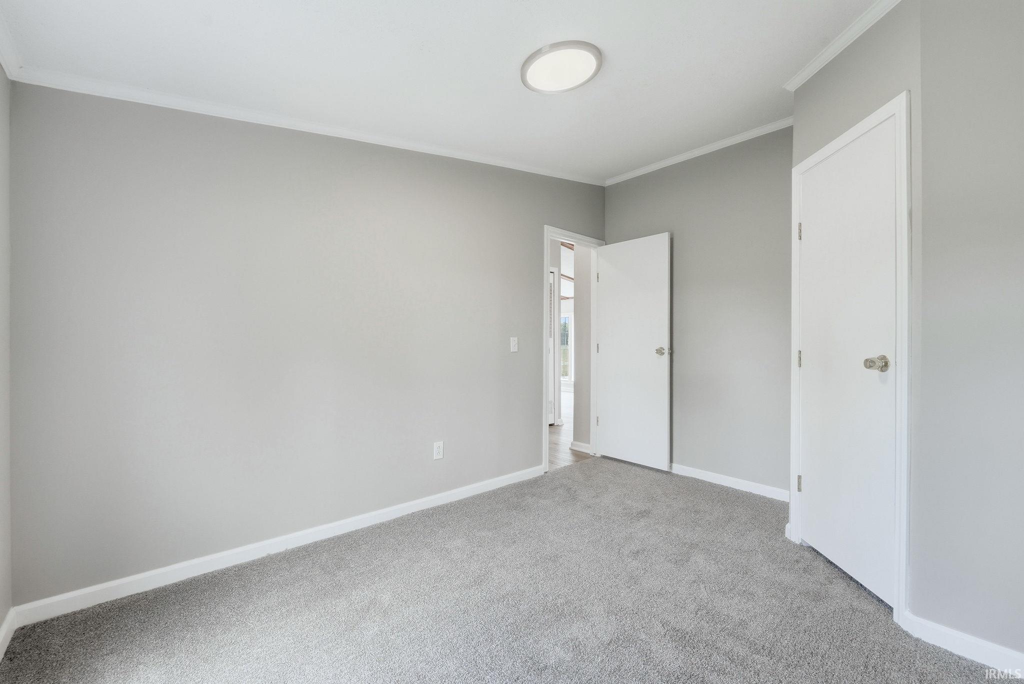 Room featuring neutral gray walls, light gray carpet, white trim, and a flush-mount ceiling light