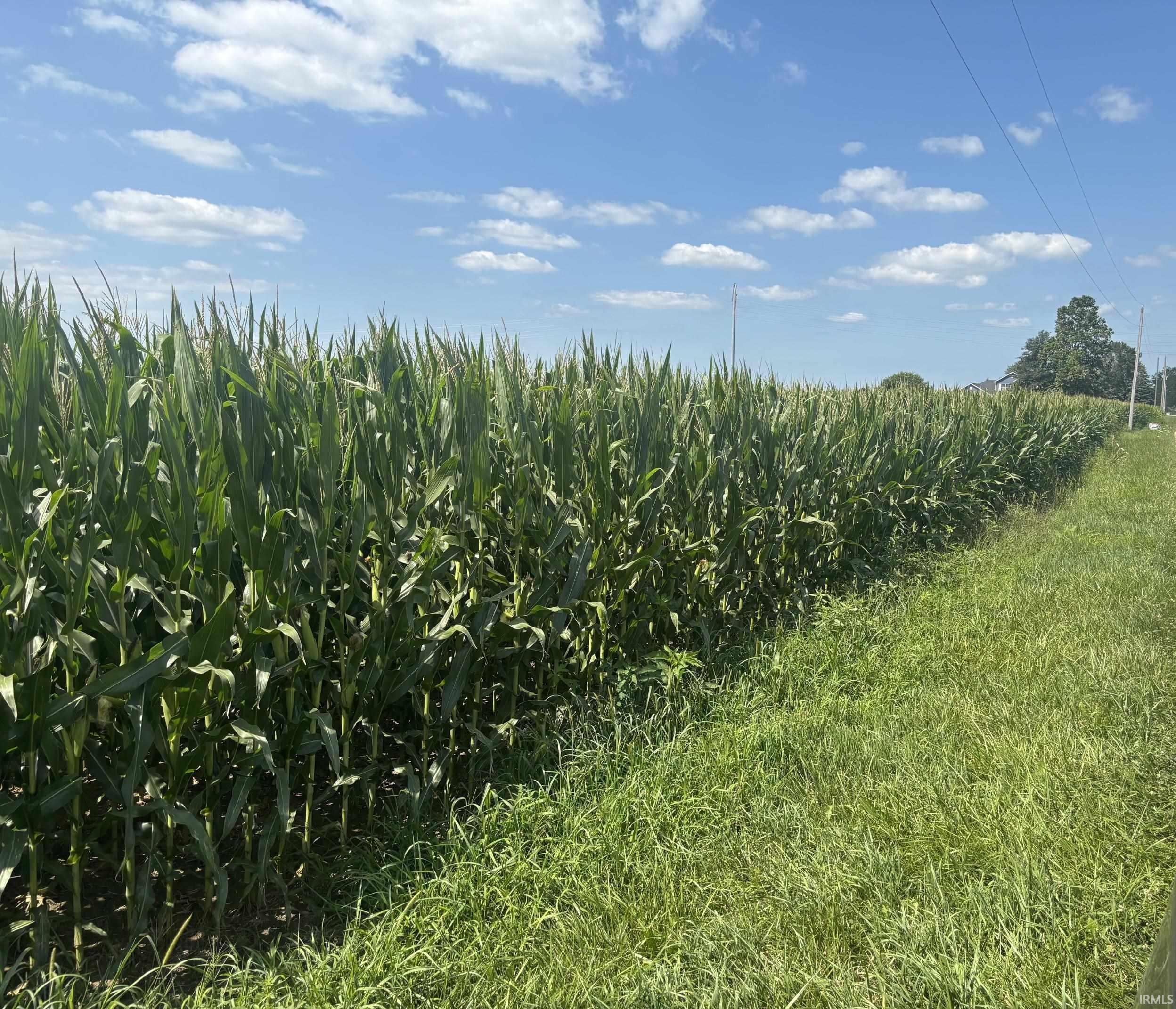 1st image of W Cr 1300 North, Gaston, IN 47342 | MLS# 202631745