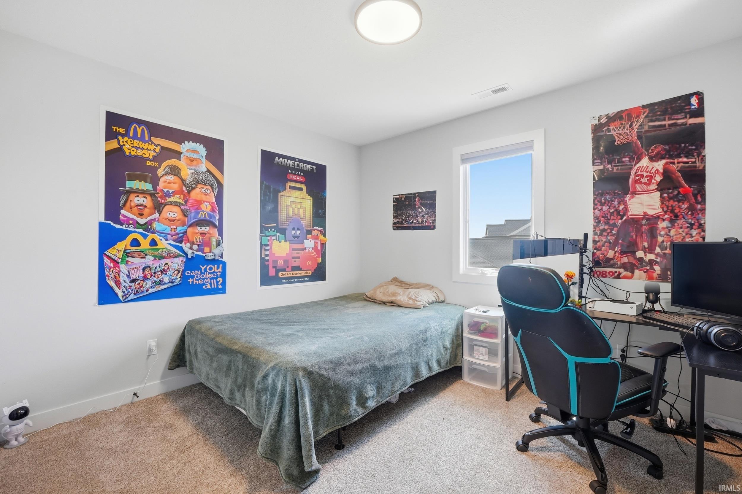 Bright room featuring neutral wall paint, a single window, overhead flush-mount lighting, and carpet flooring