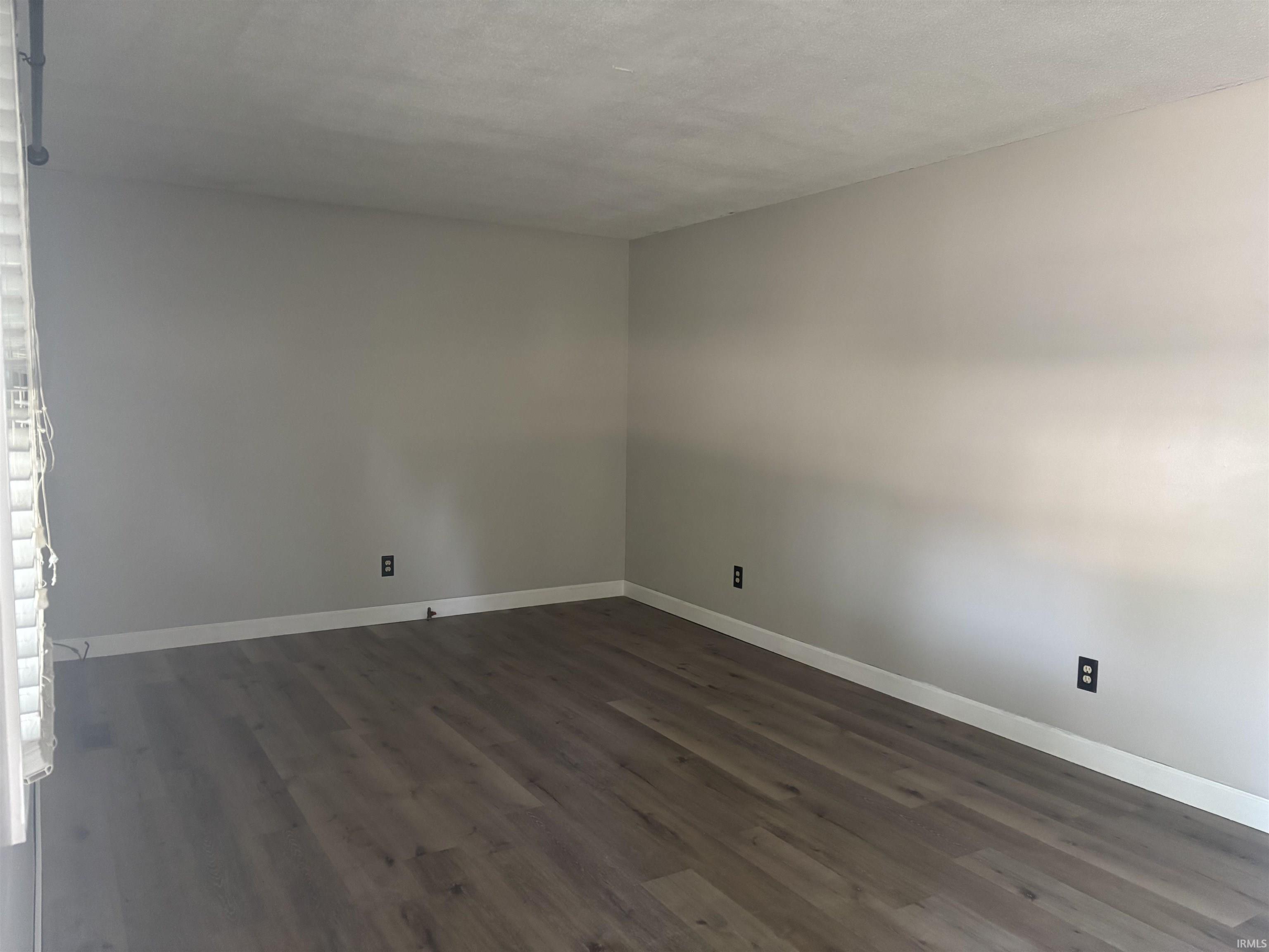 Spacious room featuring wood-finish flooring, light gray wall paint, and white baseboards