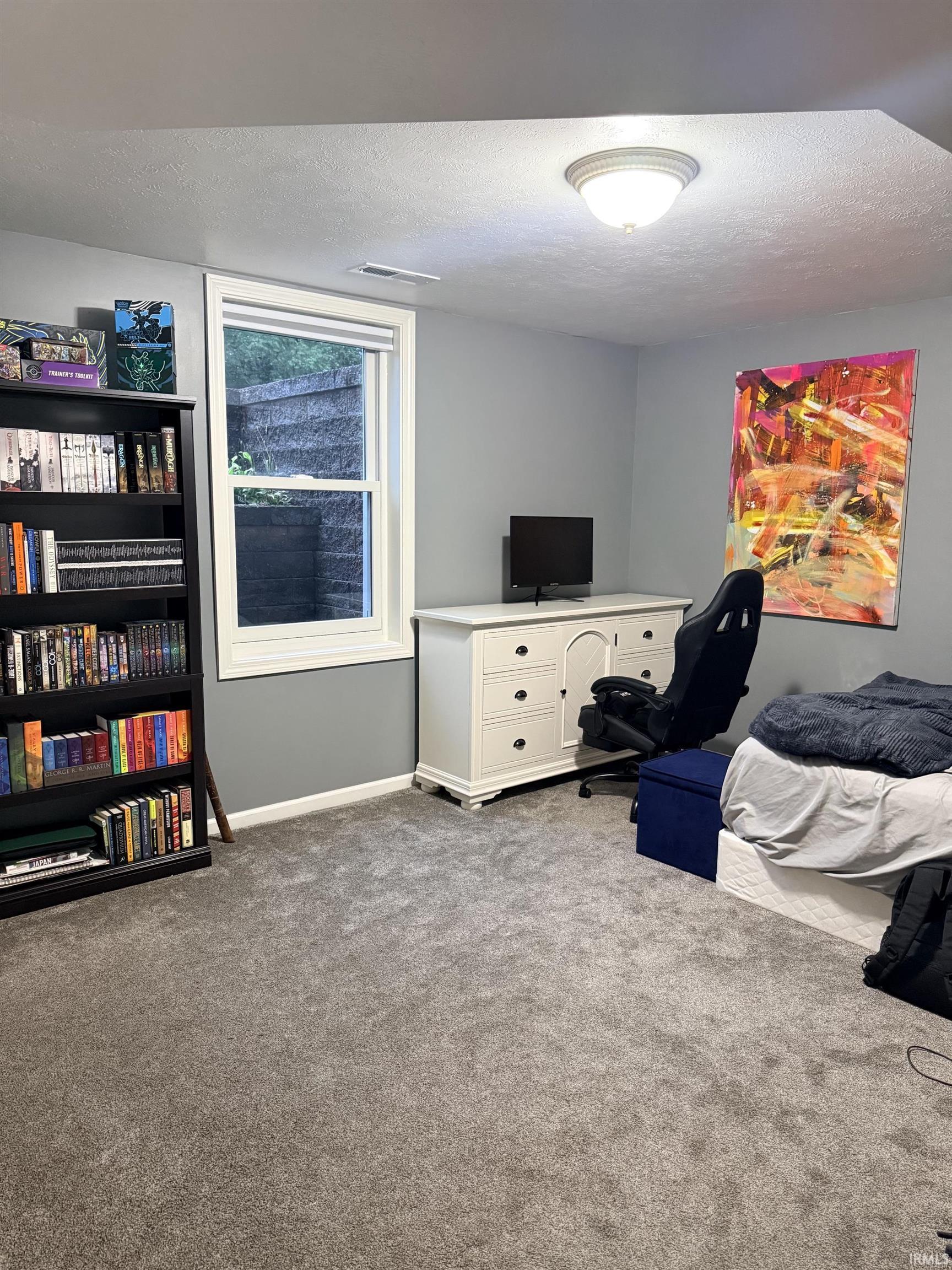 Versatile bedroom featuring carpeted flooring, a large double-hung window with natural light, built-in shelving with storage capacity, and a ceiling-mounted light fixture