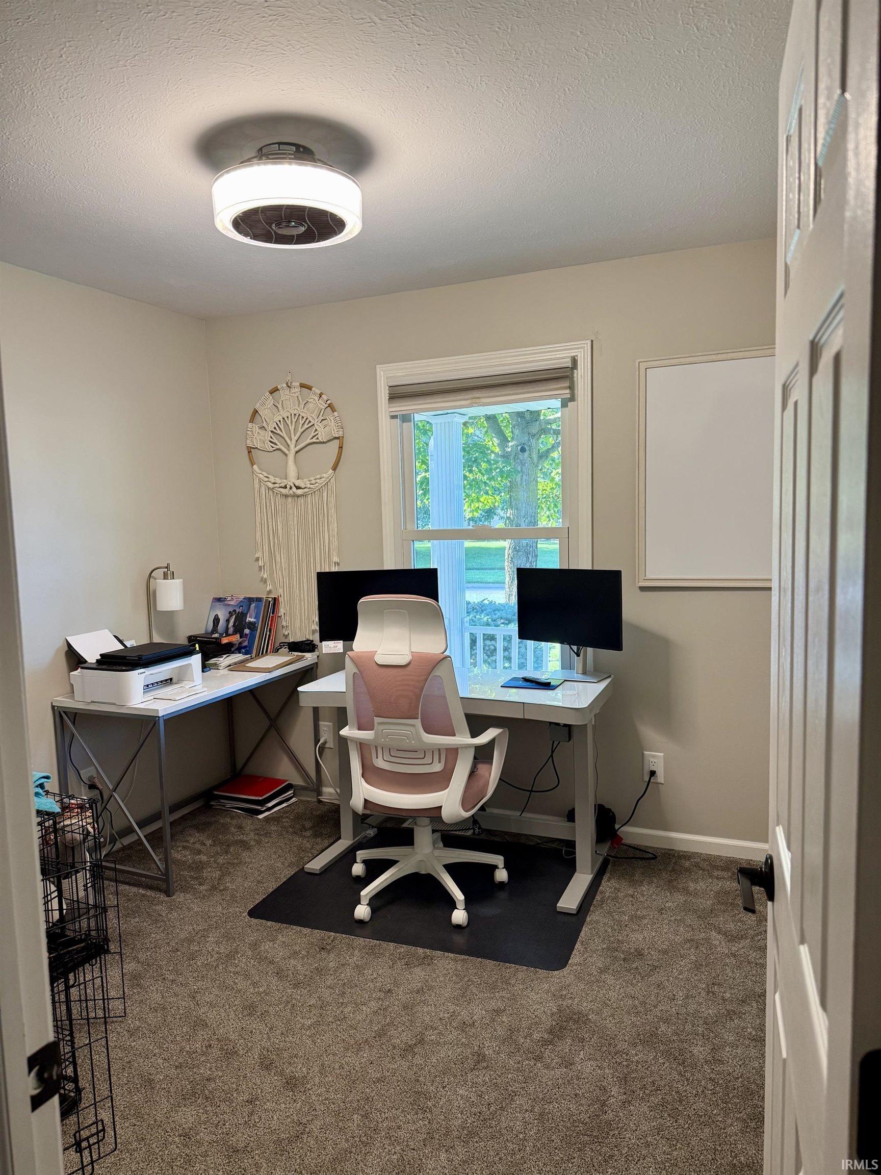 Dedicated home office featuring dual monitor setup capability, modern ceiling-mounted lighting fixture, carpet flooring, large window with natural light, and glass door access to outdoor space