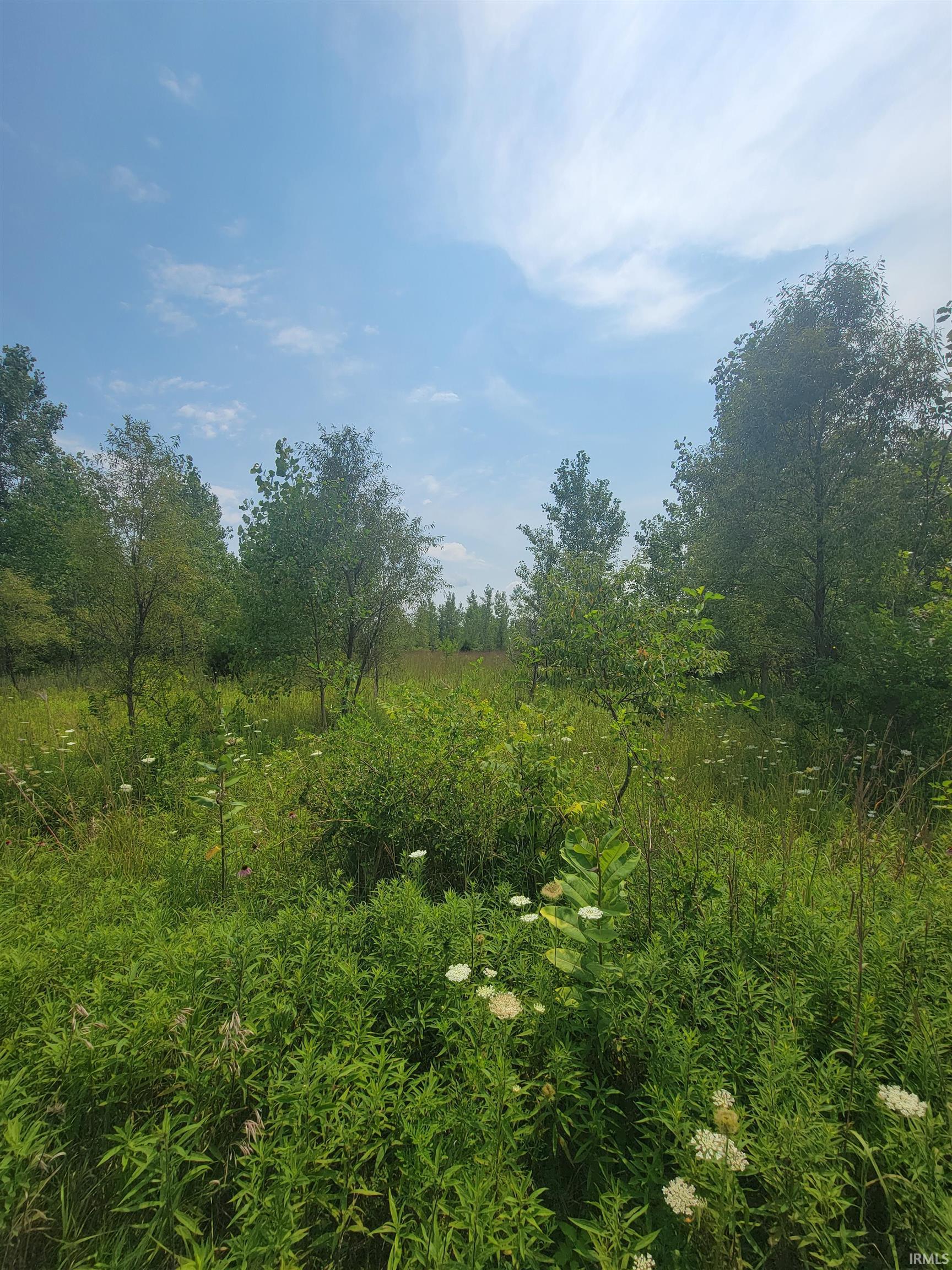 18th image of 6871 S 1100 W, Francesville, IN 47946 | MLS# 202631905