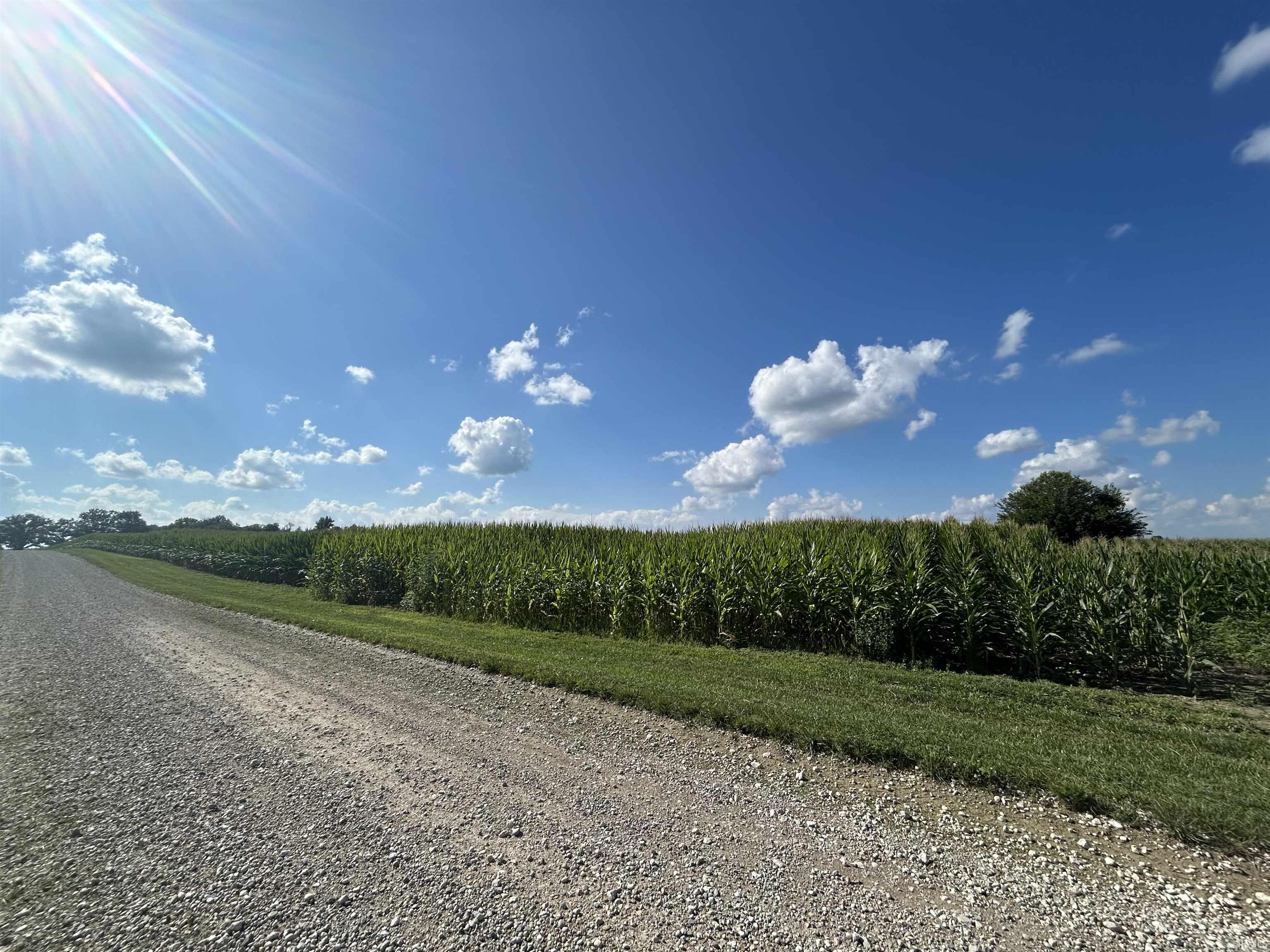2nd image of 10544 E 900 North Hwy, Colfax, IN 46035 | MLS# 202631966