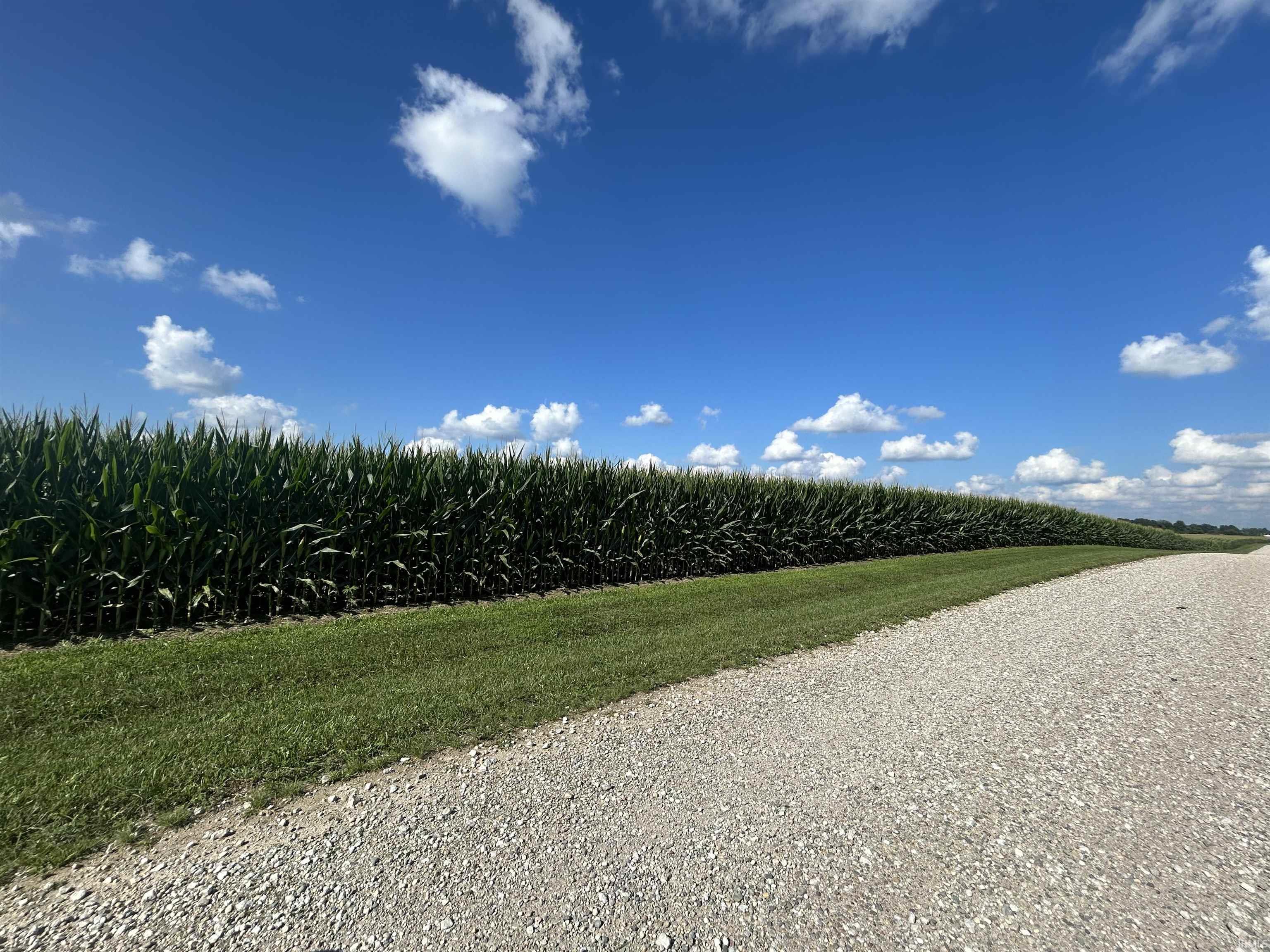 3rd image of 10544 E 900 North Hwy, Colfax, IN 46035 | MLS# 202631966