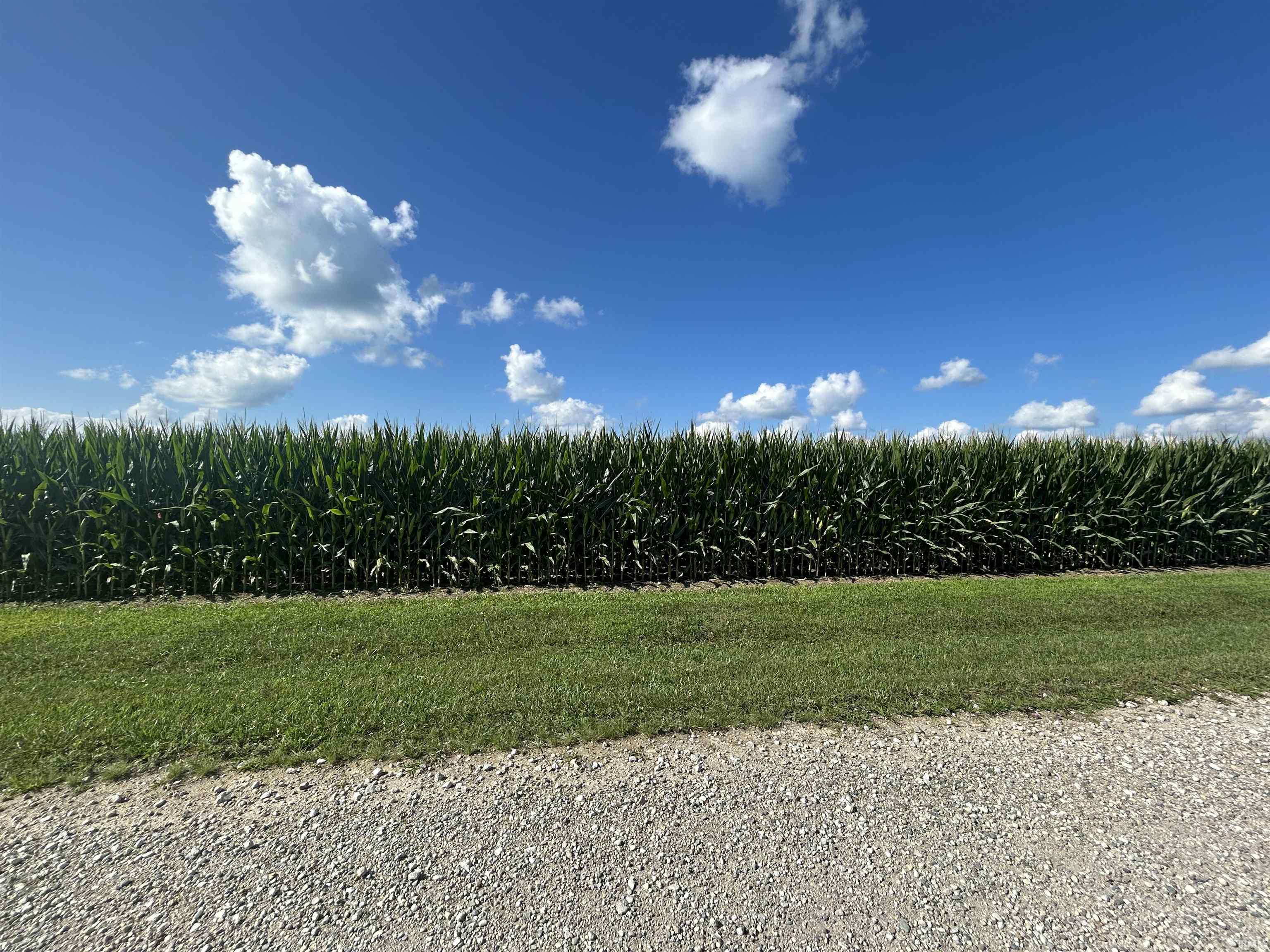 4th image of 10544 E 900 North Hwy, Colfax, IN 46035 | MLS# 202631966