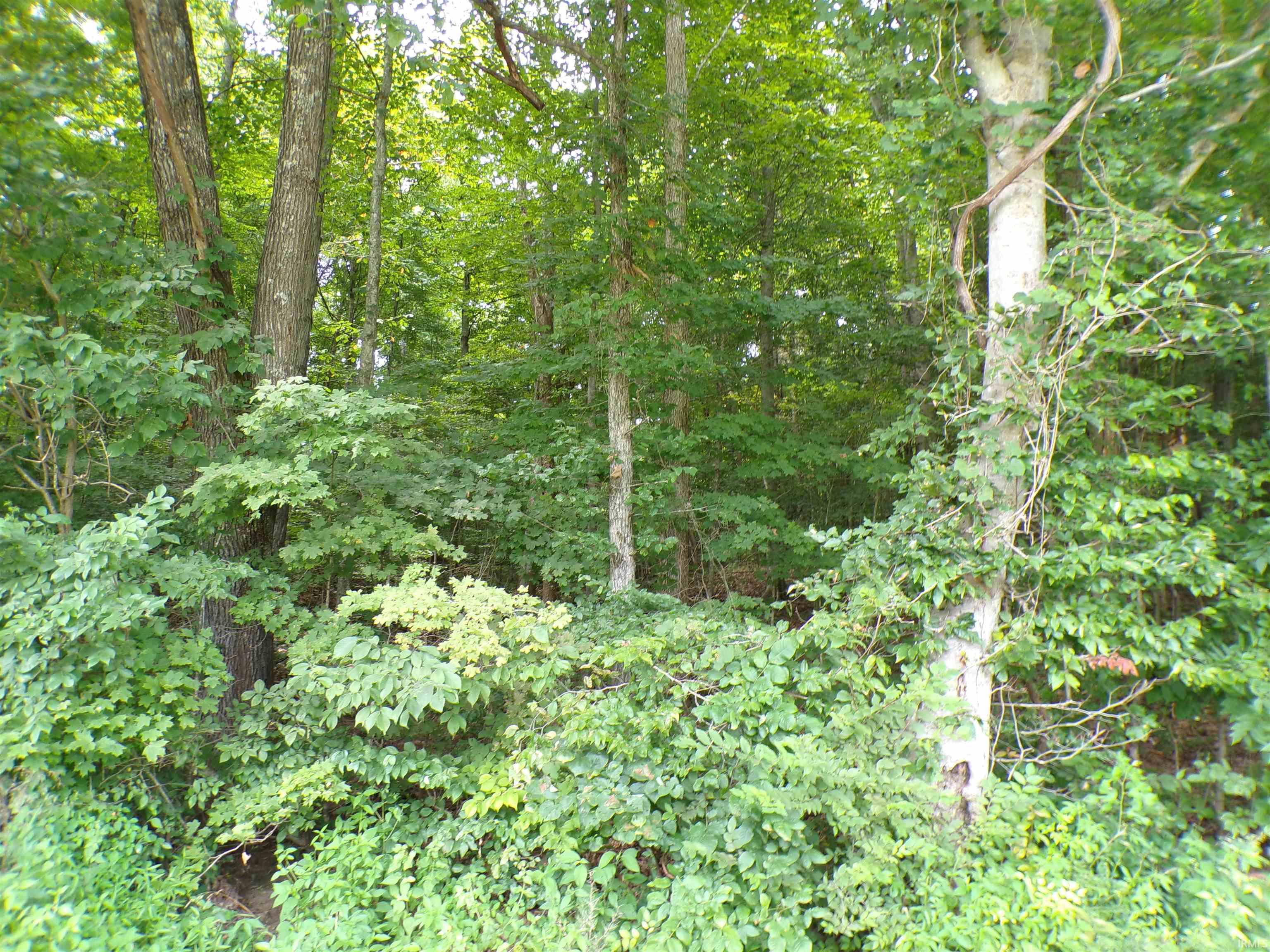 1st image of 0 S Co Rd 350 W Blvd, Paoli, IN 47454 | MLS# 202632054