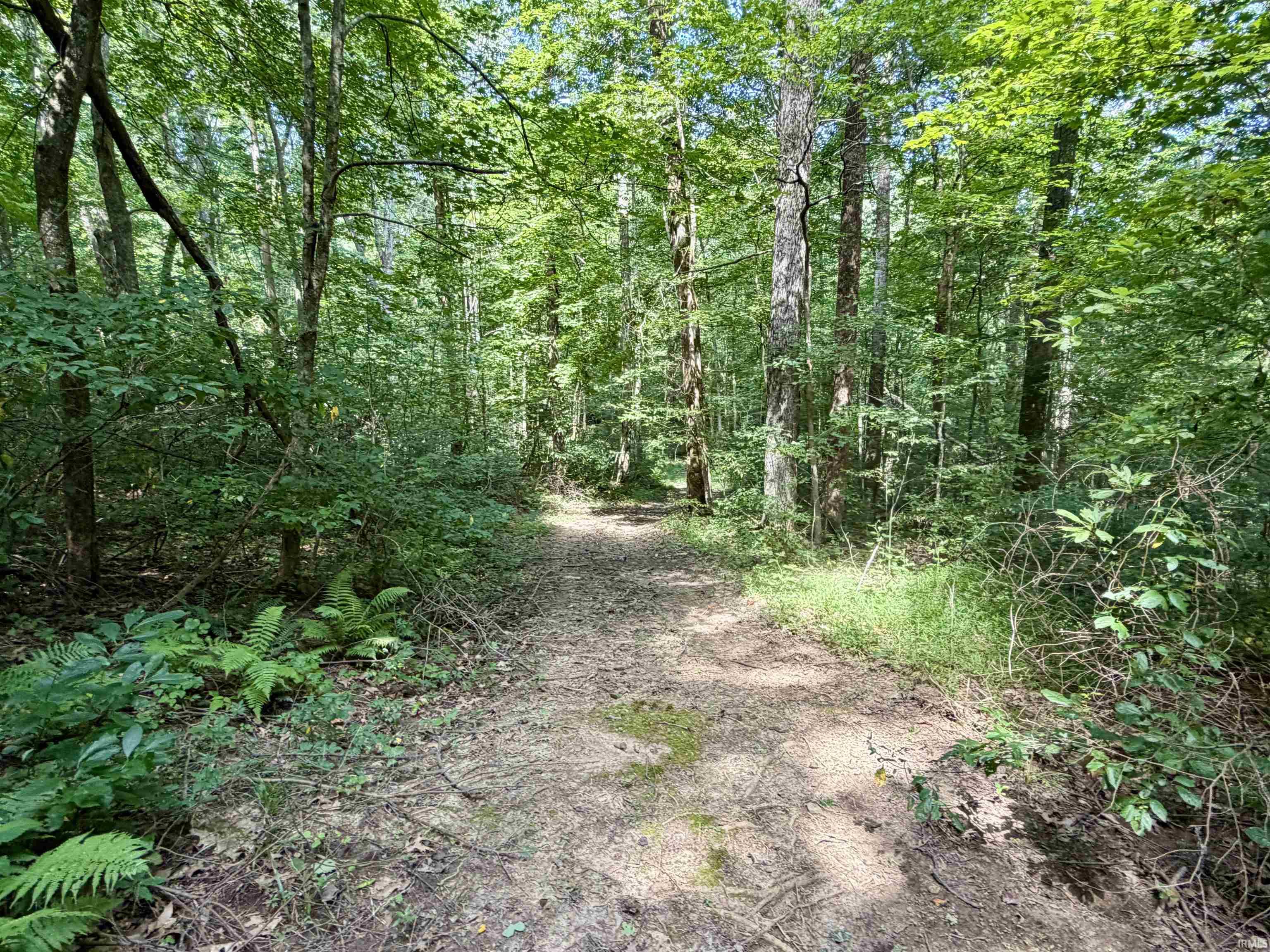 50th image of 4679 E Co Rd 940 S, Marengo, IN 47140 | MLS# 202632301