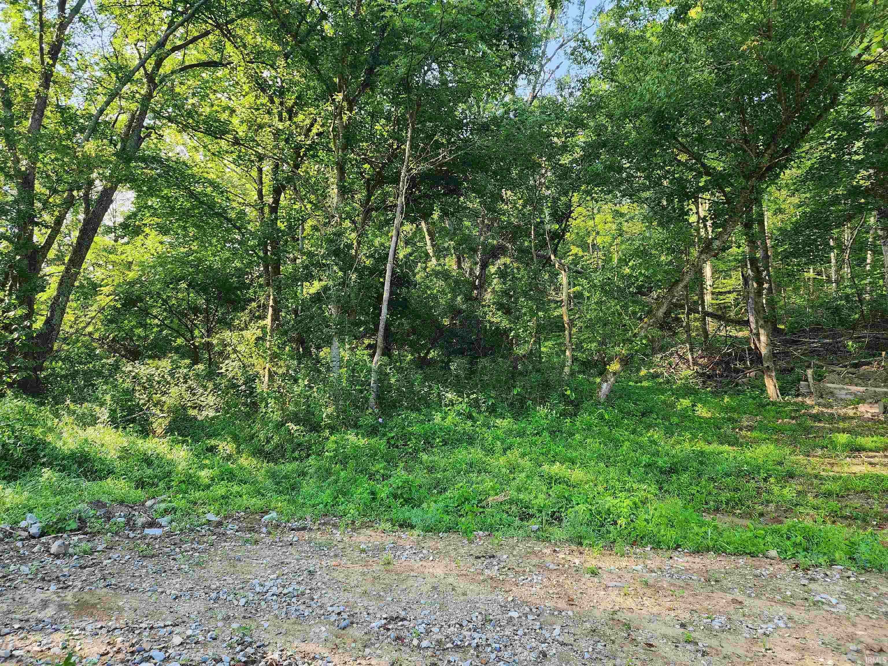 Photo 2 of Land for sale at Tract 2 State Rd 54, Springville, IN 47462 | MLS# 202632510 | Listing updated on 2026-08-10