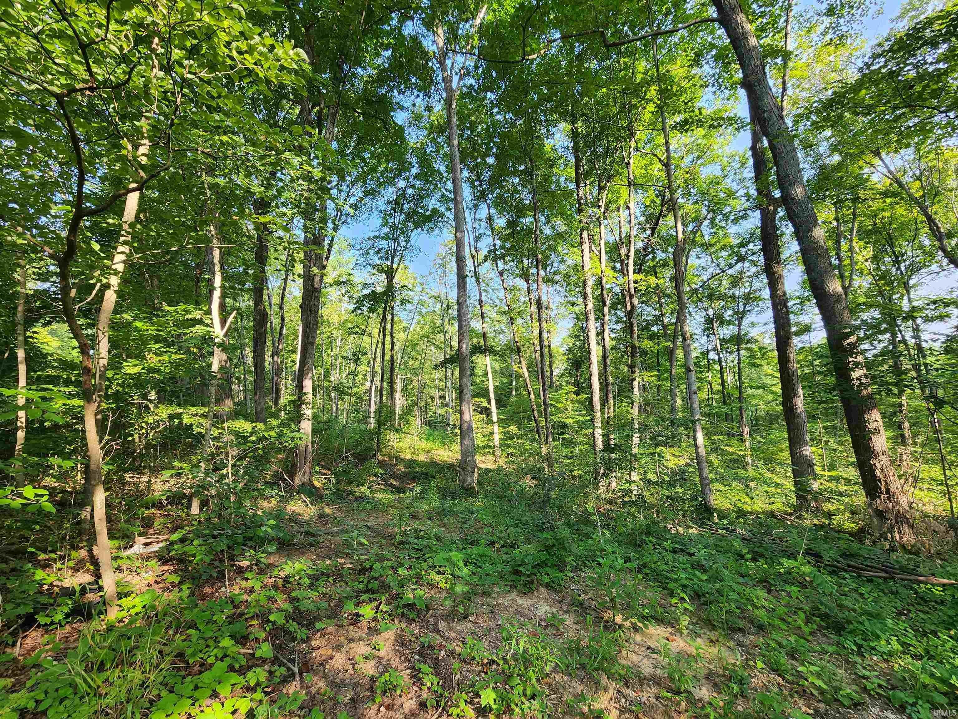 Photo 18 of Land for sale at Tract 2 State Rd 54, Springville, IN 47462 | MLS# 202632510 | Listing updated on 2026-08-10