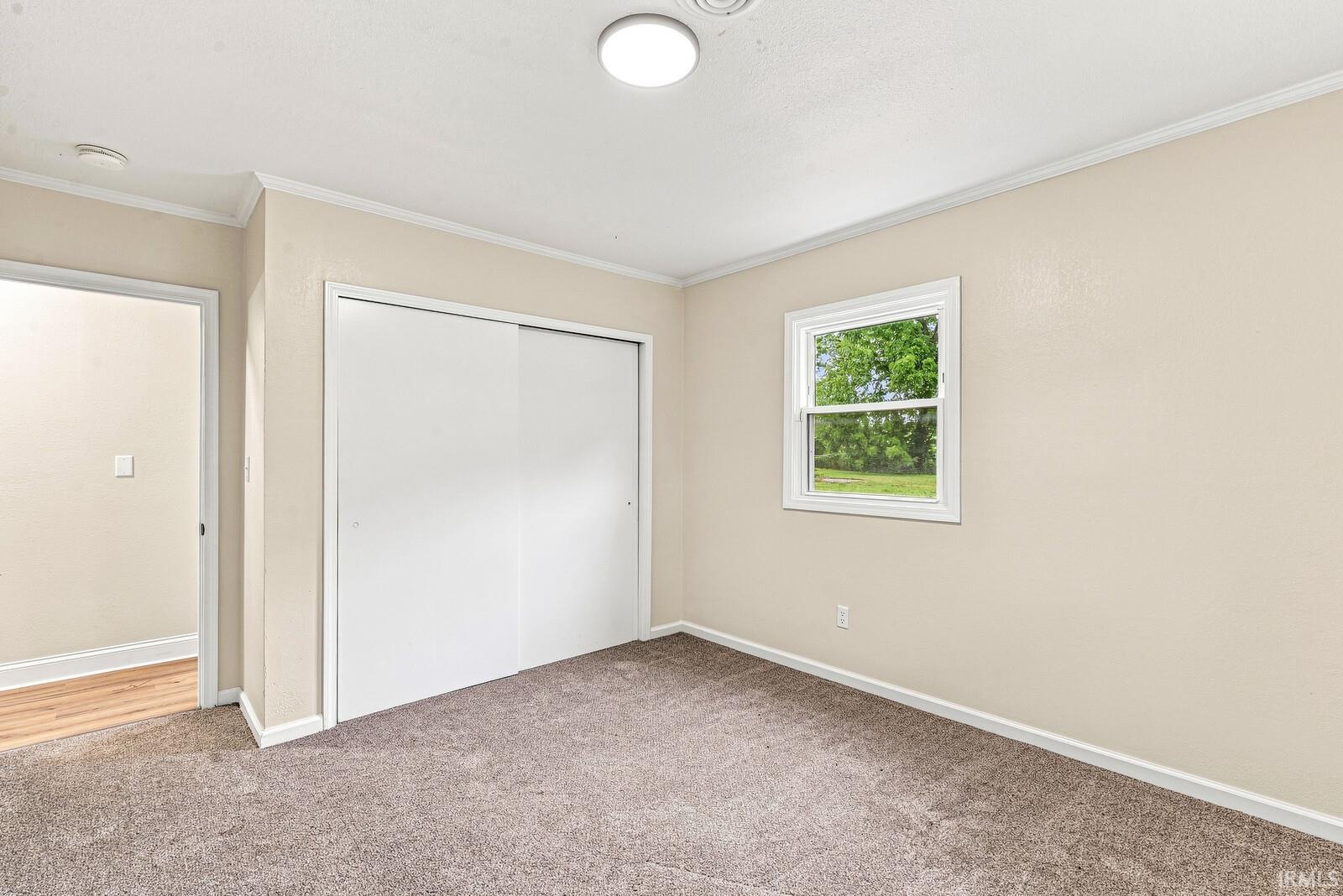 Neutral paint palette with contrasting trim, carpeted flooring, window with natural scenery, and sliding closet doors