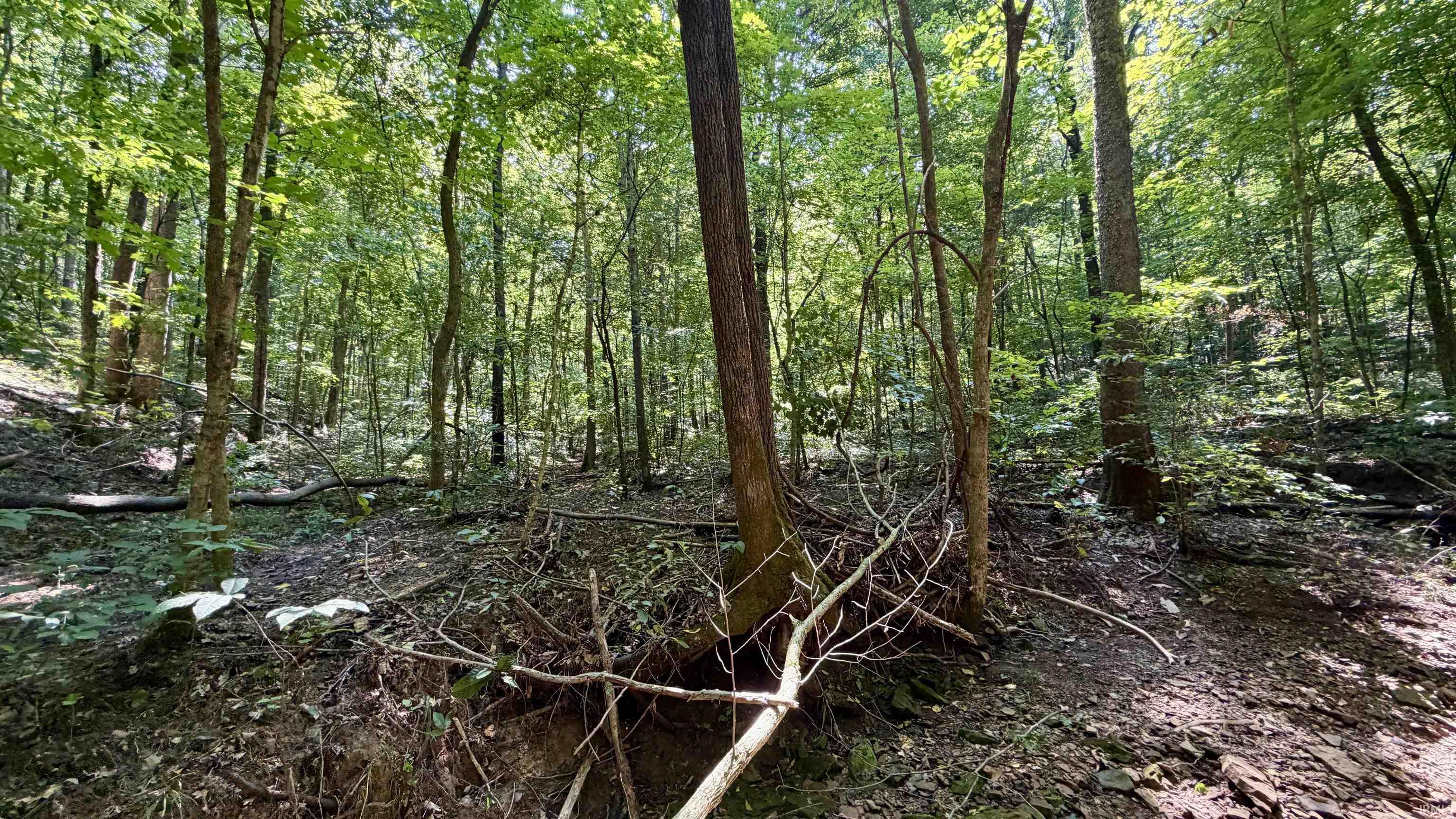 41st image of 6606 Bear Creek Rd, Rome, IN 47574 | MLS# 202632871