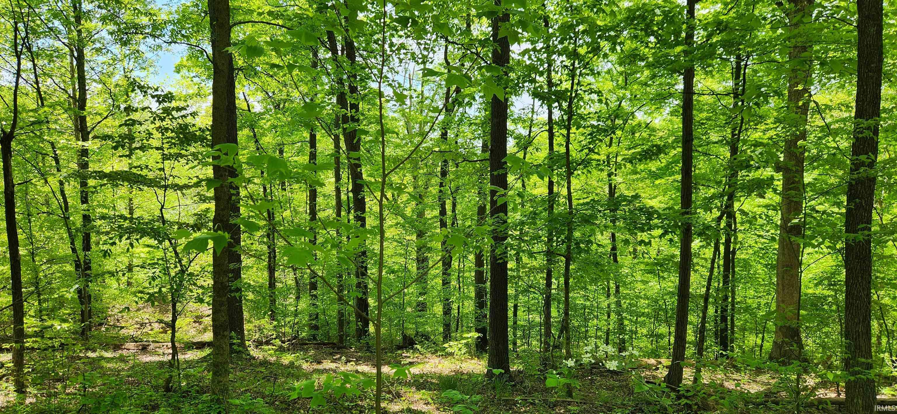 1st image of 1796 S Garrison Chapel Rd, Bloomington, IN 47403 | MLS# 202632948