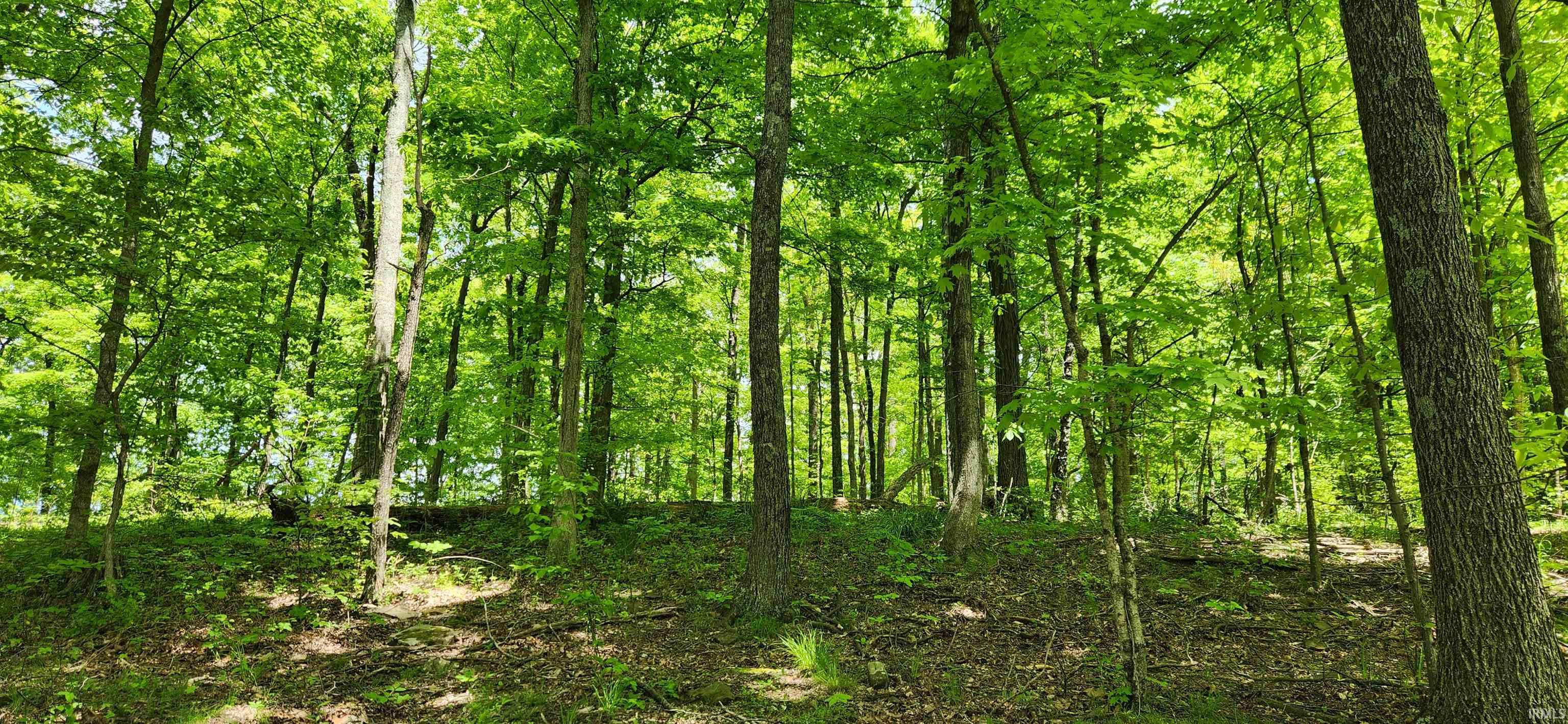 2nd image of 1796 S Garrison Chapel Rd, Bloomington, IN 47403 | MLS# 202632948