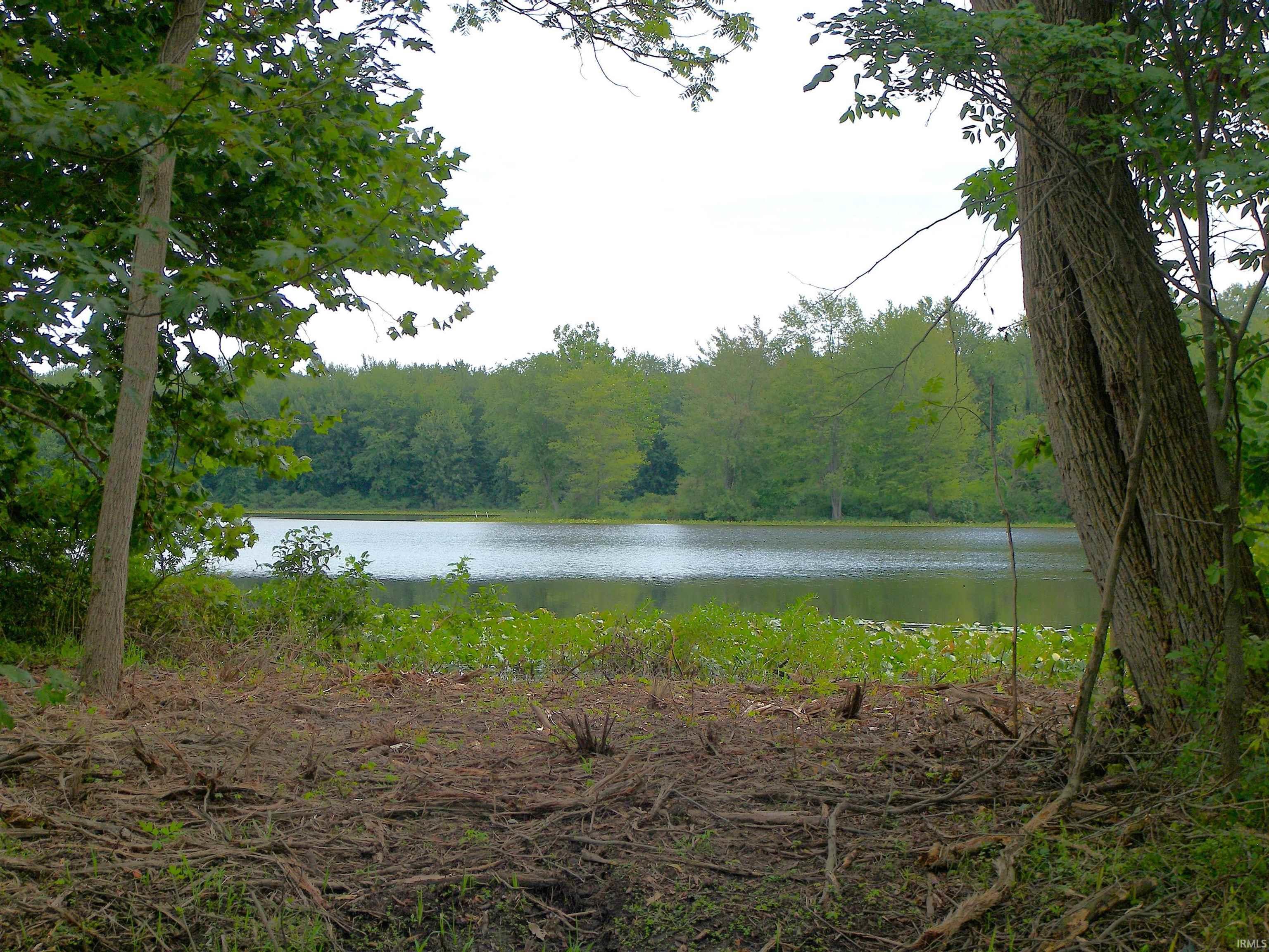 Photo 47 of 7321 S Caldwell Lake Drive