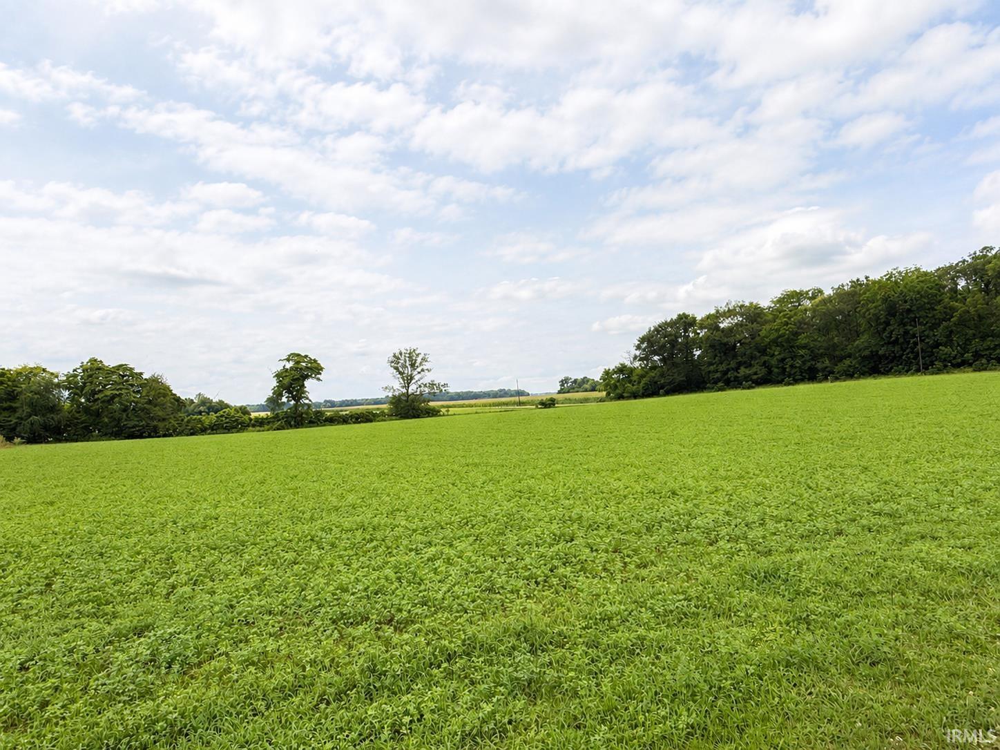 46th image of 9663 W 100 S, Francesville, IN 47946 | MLS# 202633417