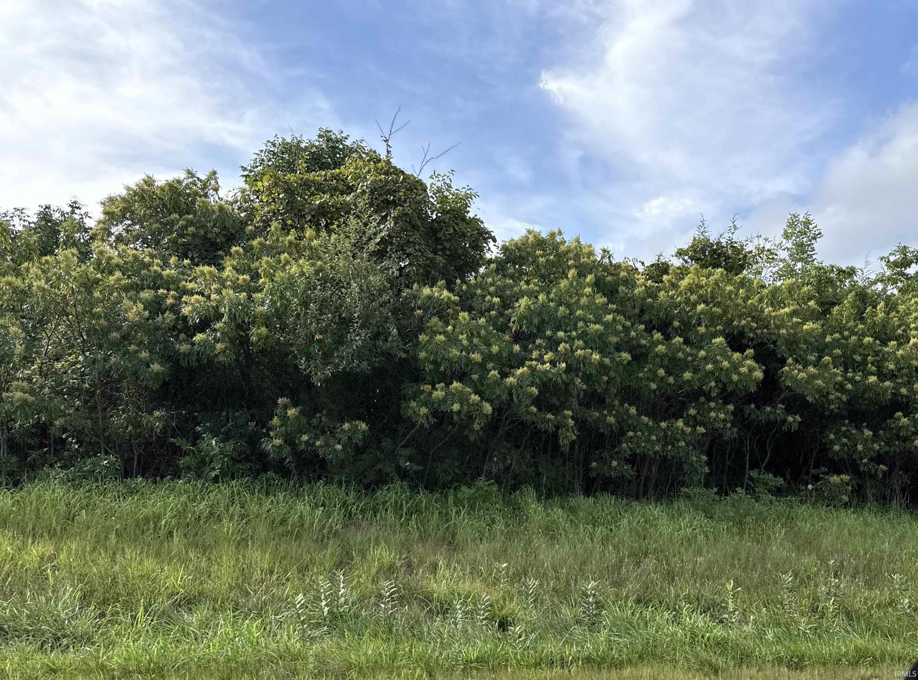 2nd image of 3399 S Bunger Rd, Bloomington, IN 47403 | MLS# 202633714