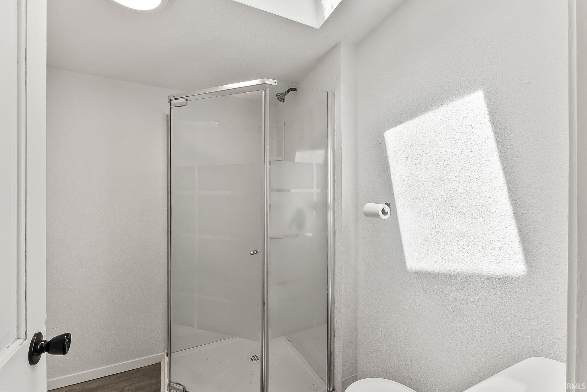 Glass-enclosed shower, ceiling-mounted light fixture, and skylight
