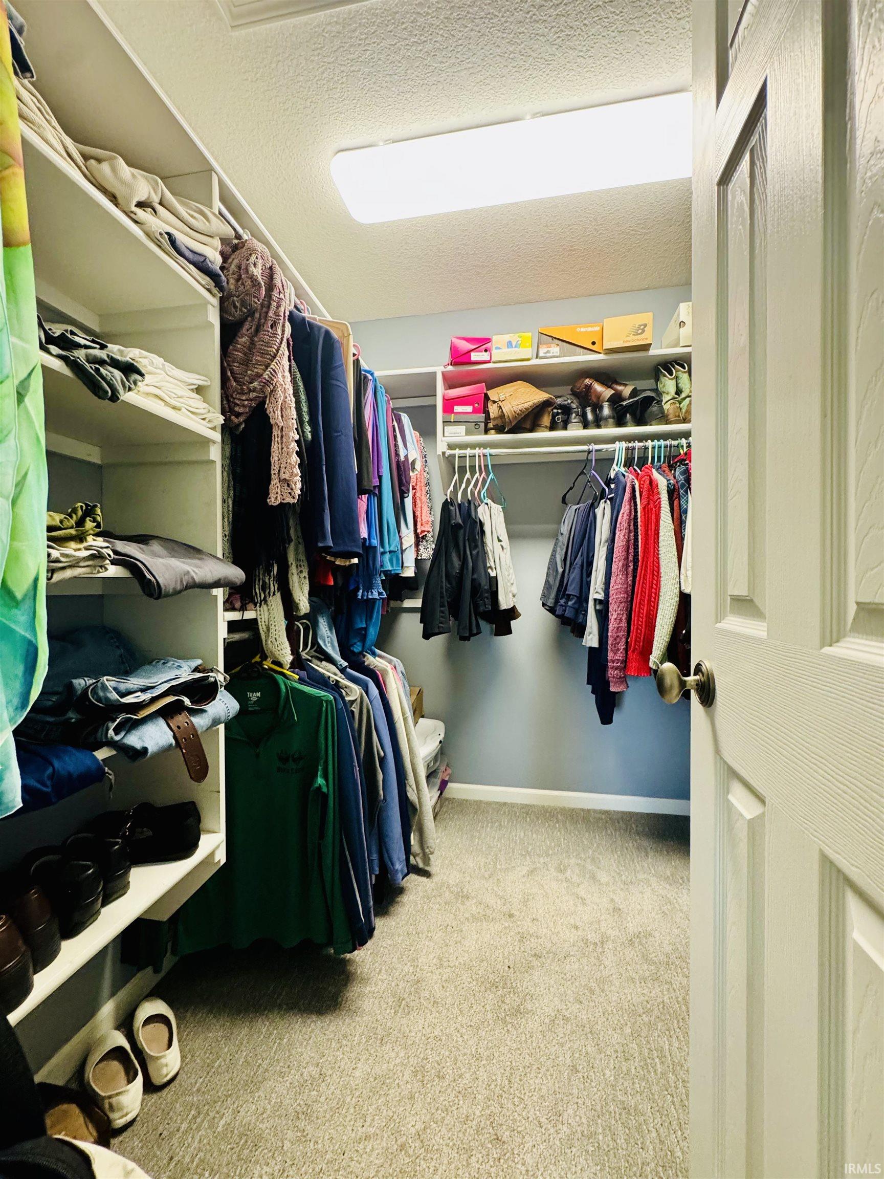 Walk-in closet featuring built-in shelving, hanging rods, and light gray carpet flooring